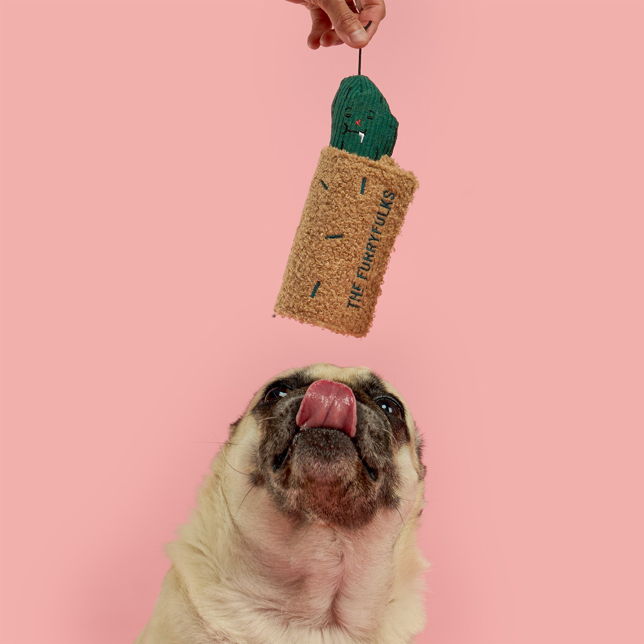 A pug dog licks its lips while looking up at a hand holding a cactus-shaped pet toy against a solid pink background. The toy is made of natural coir rope with a green cactus top and the text 'THE FANTASTICS' printed on it.