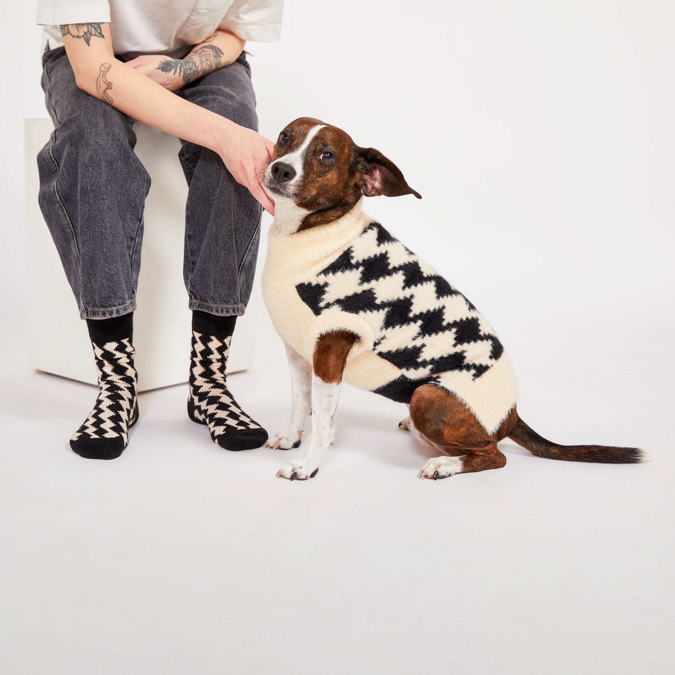 A brown dog wearing a cream and black diamond-patterned sweater sits next to a person seated on a white block, gently touching the dog’s head. The person is wearing black and cream socks with the same diamond pattern.