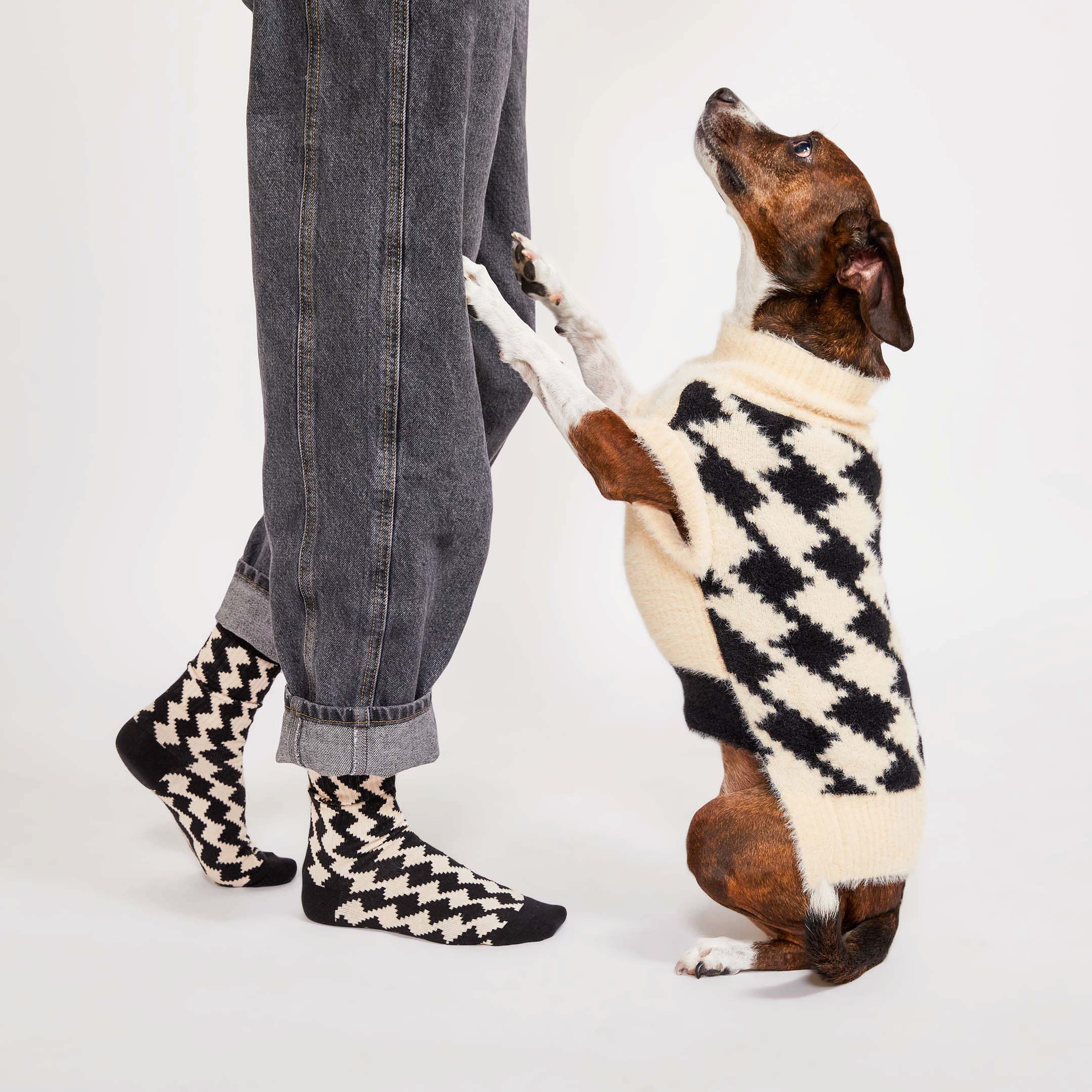 A playful moment captured between a person and their dog, both sporting matching black-and-white pixelated diamond patterns. The person wears bold socks, while the dog shows off a stylish sweater, perfectly coordinated for those who love twinning with their furry pal!