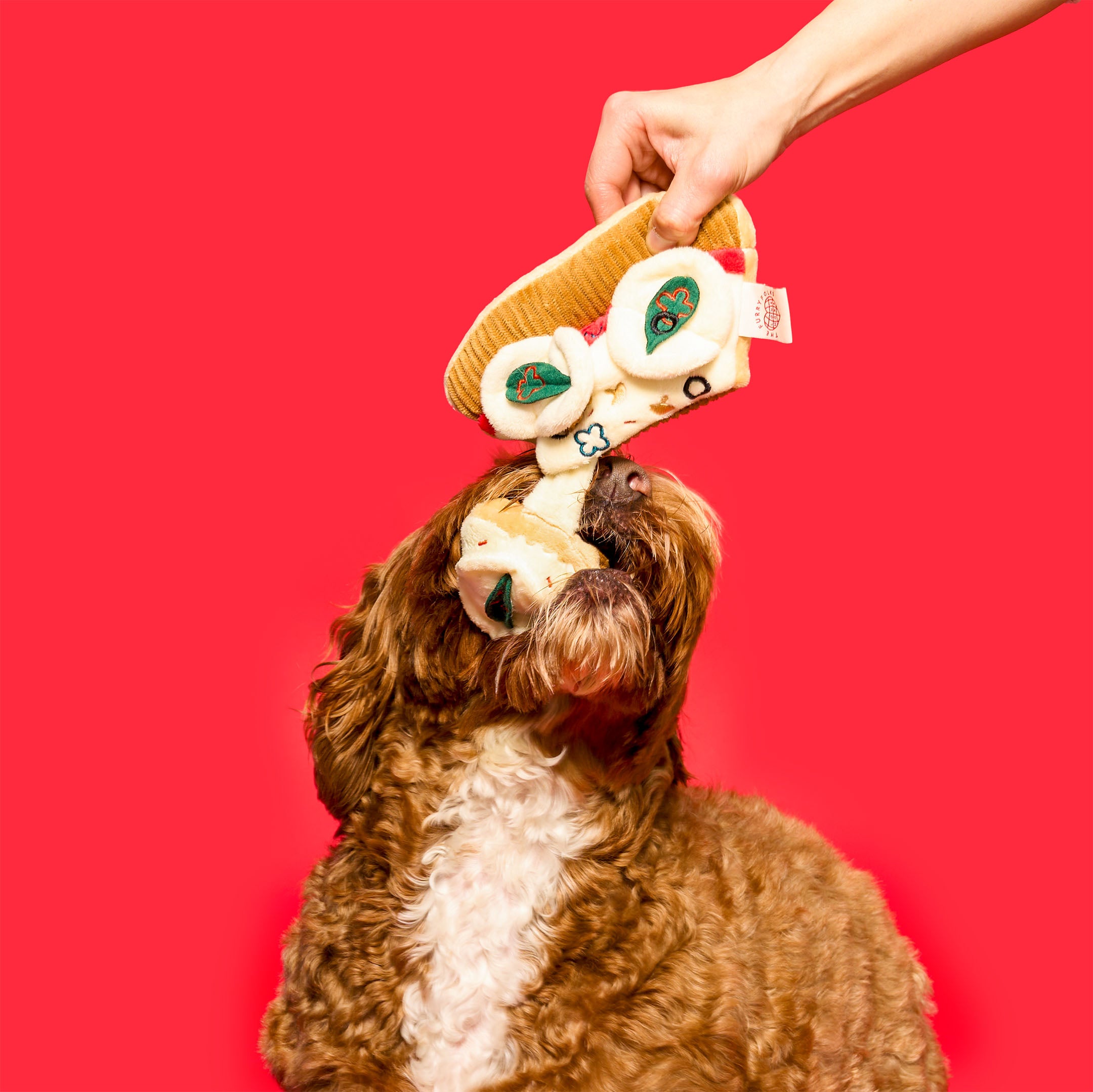 Playful brown and white dog biting onto a plush pizza slice nosework toy held by a hand. Designed for interactive fun and mental stimulation, this furryfolks toy is a must-have for curious furry pals. 