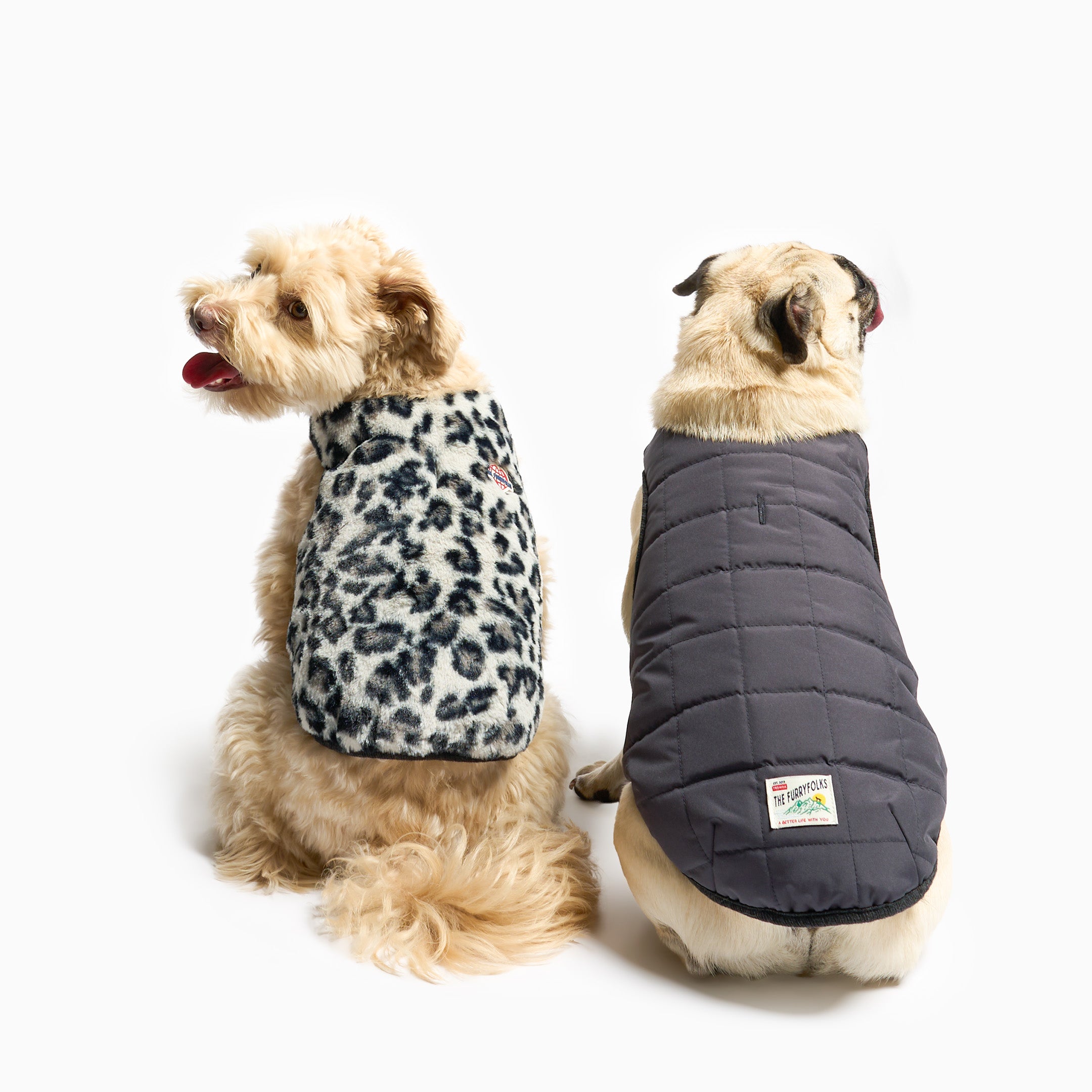 Two dogs wearing winter coats, one with a leopard print pattern and the other with a solid color.