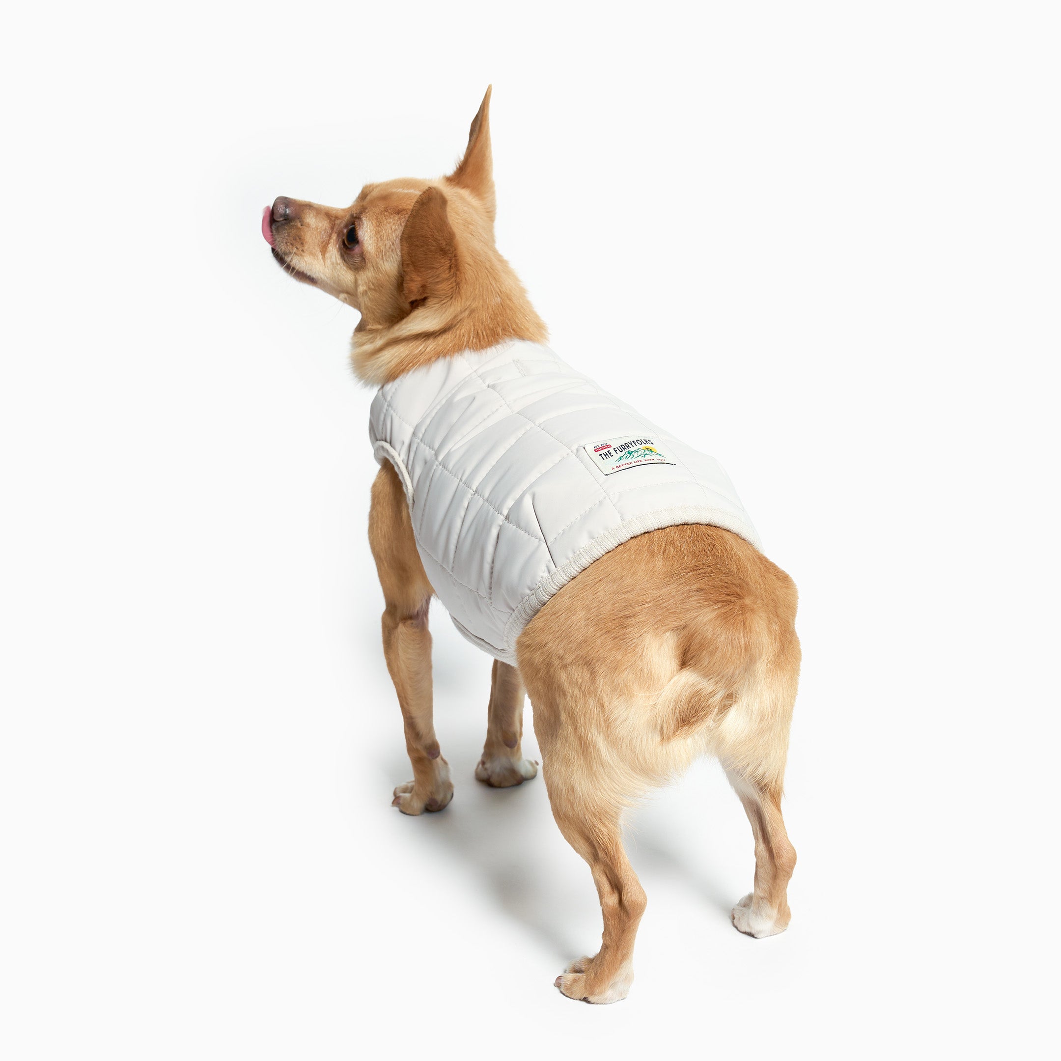Dog wearing a white shirt with a visible brand logo on a white background