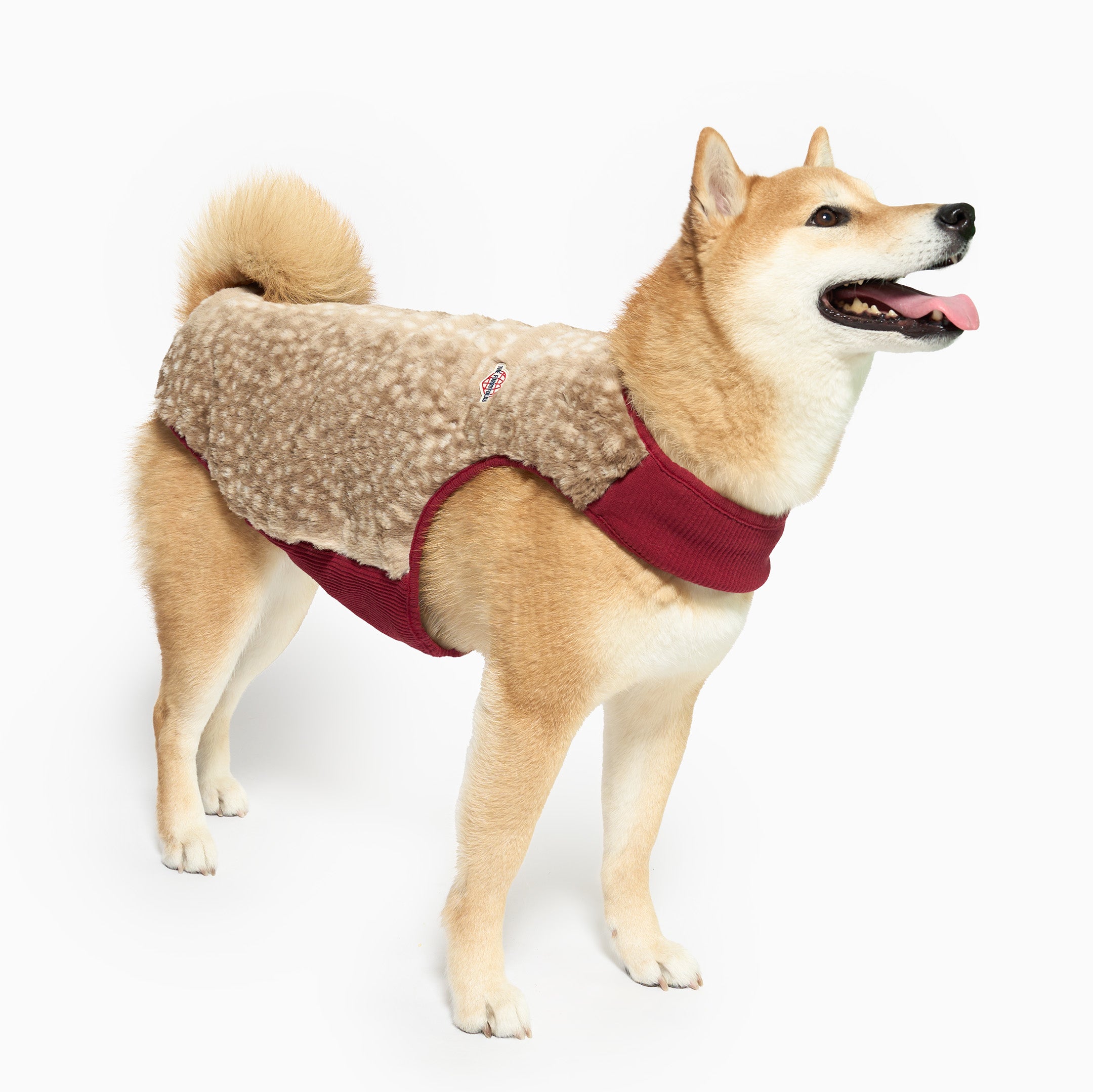 Dog wearing a red and beige fleece coat on a white background