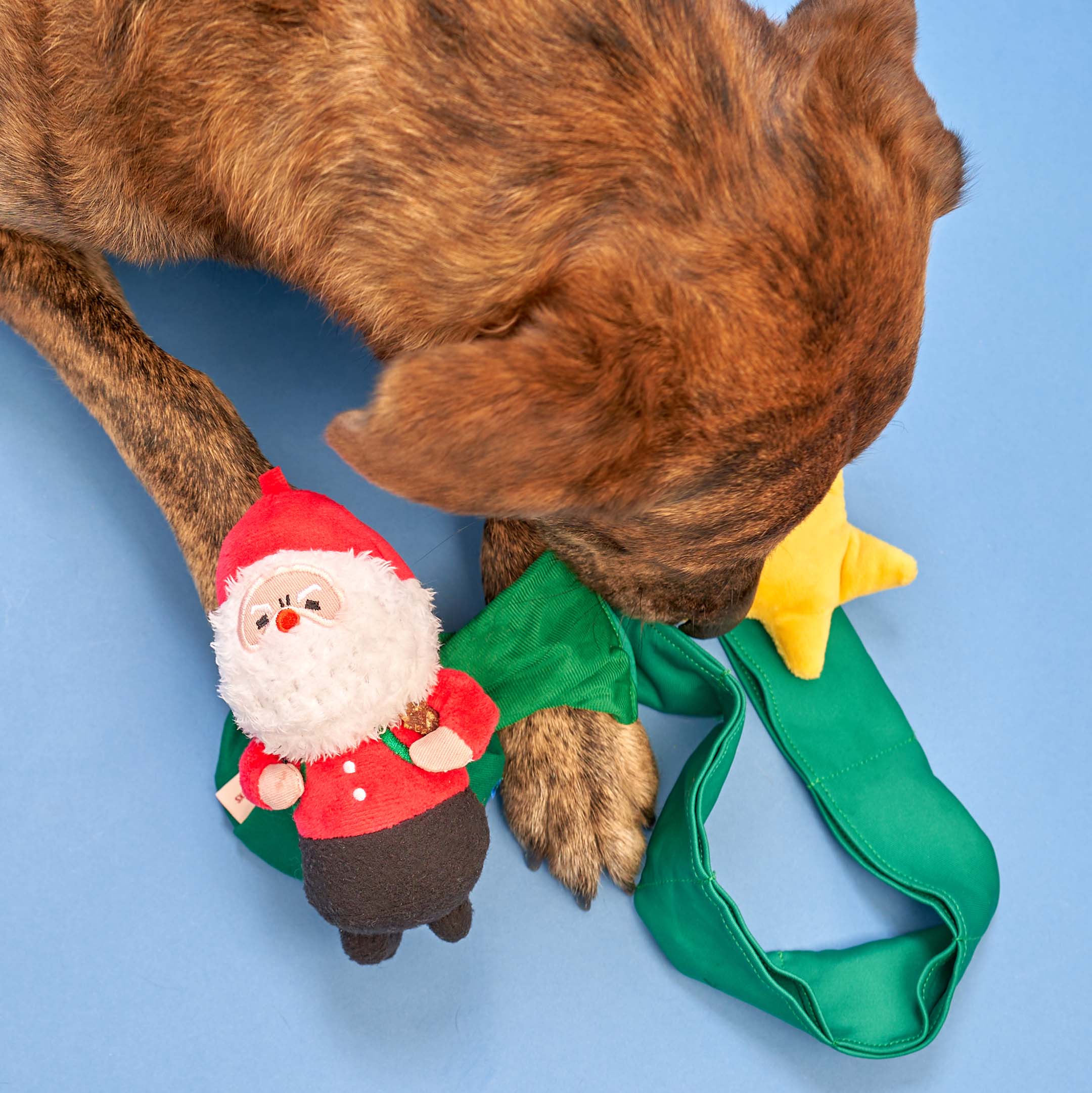 A colorful and interactive holiday toy for dogs, featuring Santa Paws and festive decorations.