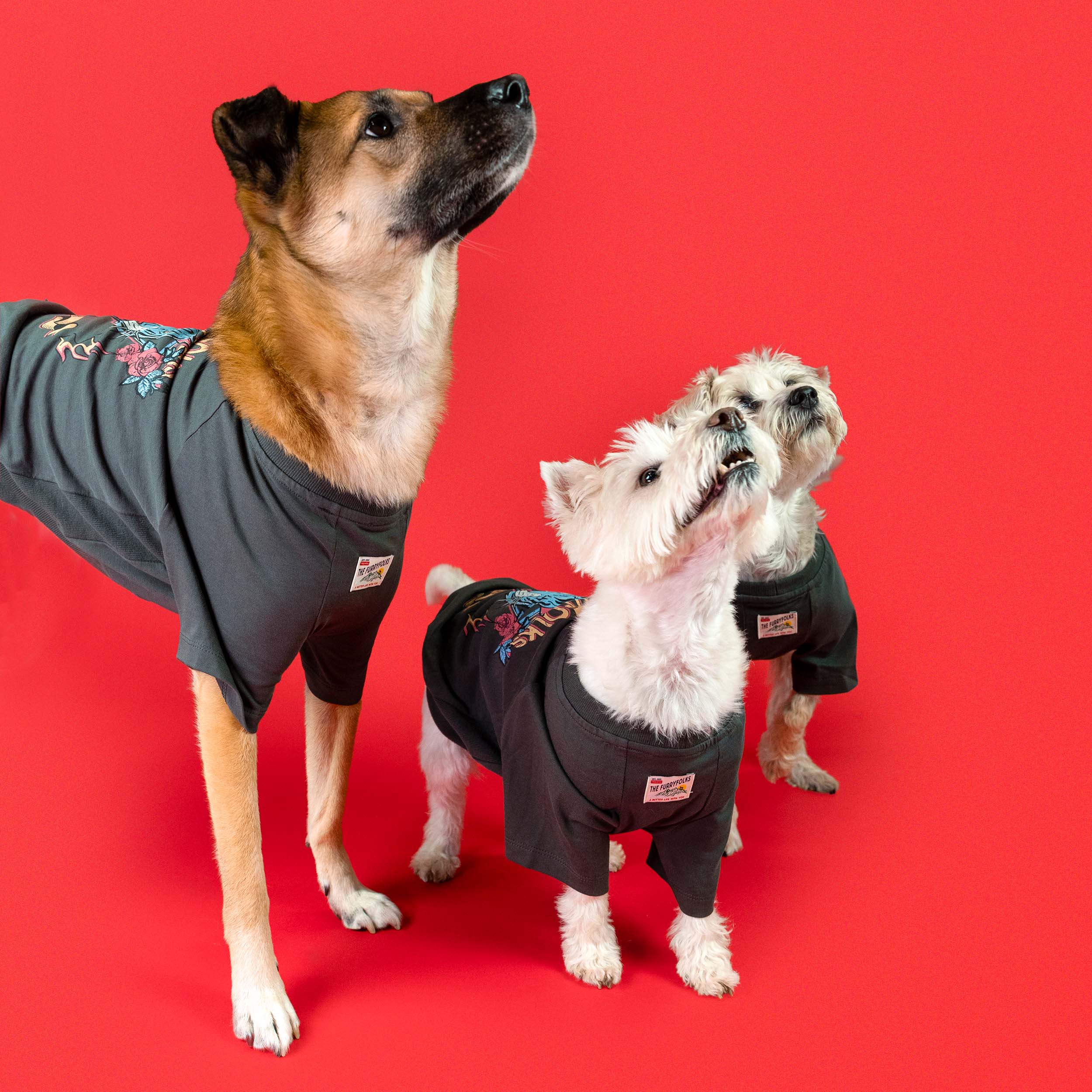 Three dogs of different sizes proudly wearing tiger-themed oversized tees from the furryfolks, standing against a vibrant red background. The tees feature colorful woven patches and bold tiger graphics, blending style and comfort for furry pals.