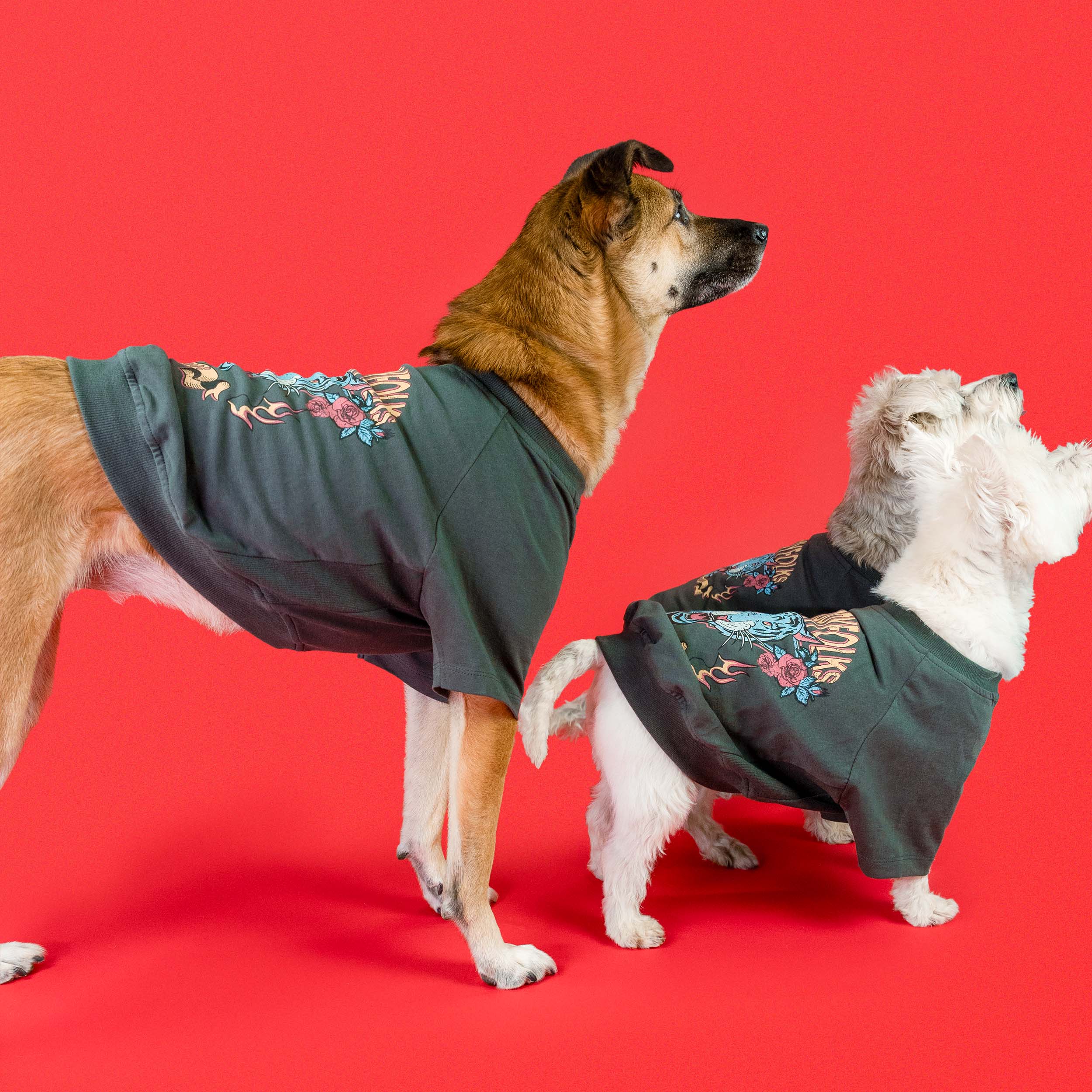 Two dogs, one medium-sized and one small, wearing oversized tiger-themed tees from the furryfolks. The tees feature vibrant floral accents and tiger graphics, styled for comfort and flair, set against a bold red background.