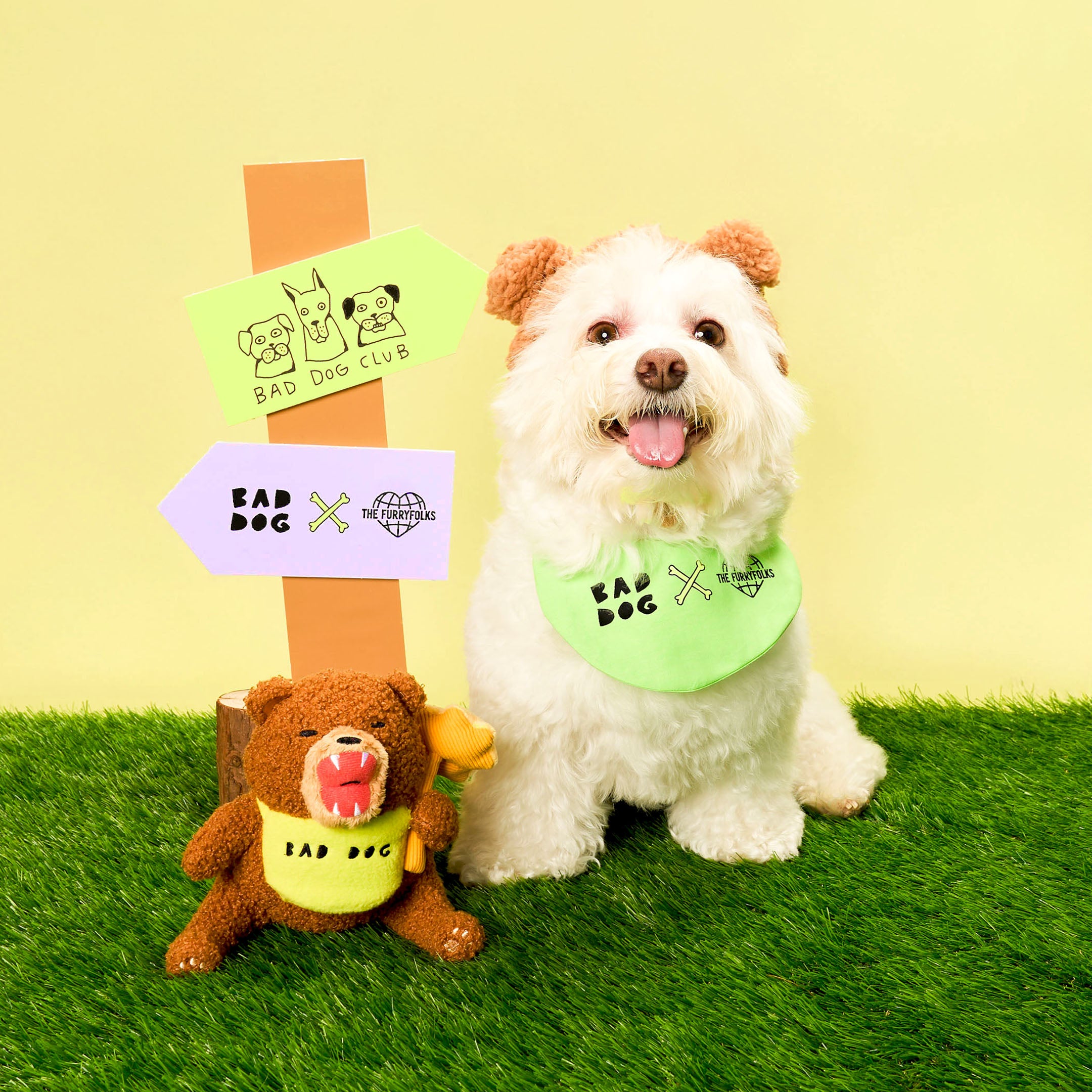 Dog wearing a green 'Bad Dog' bandana with a teddy bear toy on grass and yellow background