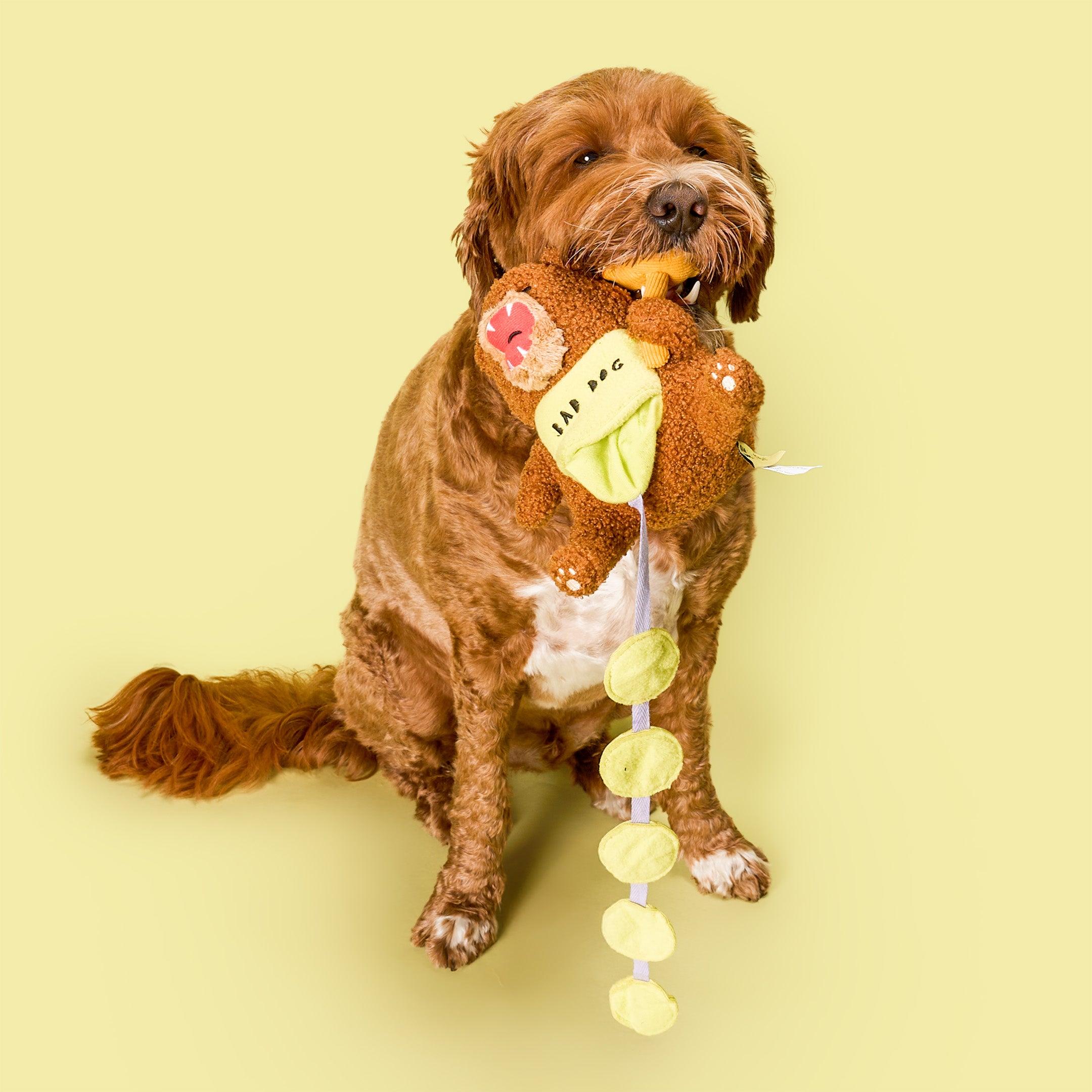 Dog holding a brown plush toy with colorful hanging elements on a yellow background
