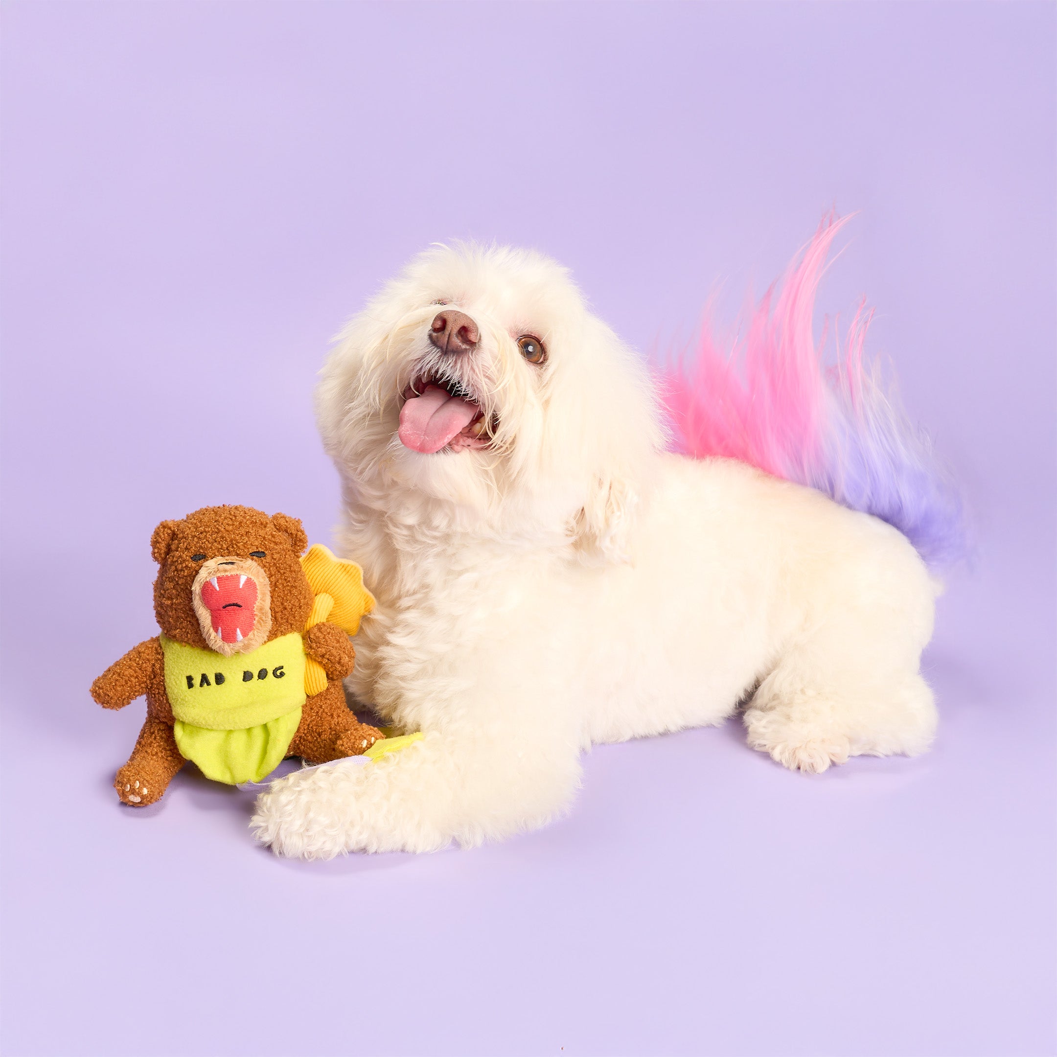 White dog with a colorful toy and a bear-shaped toy on a purple background
