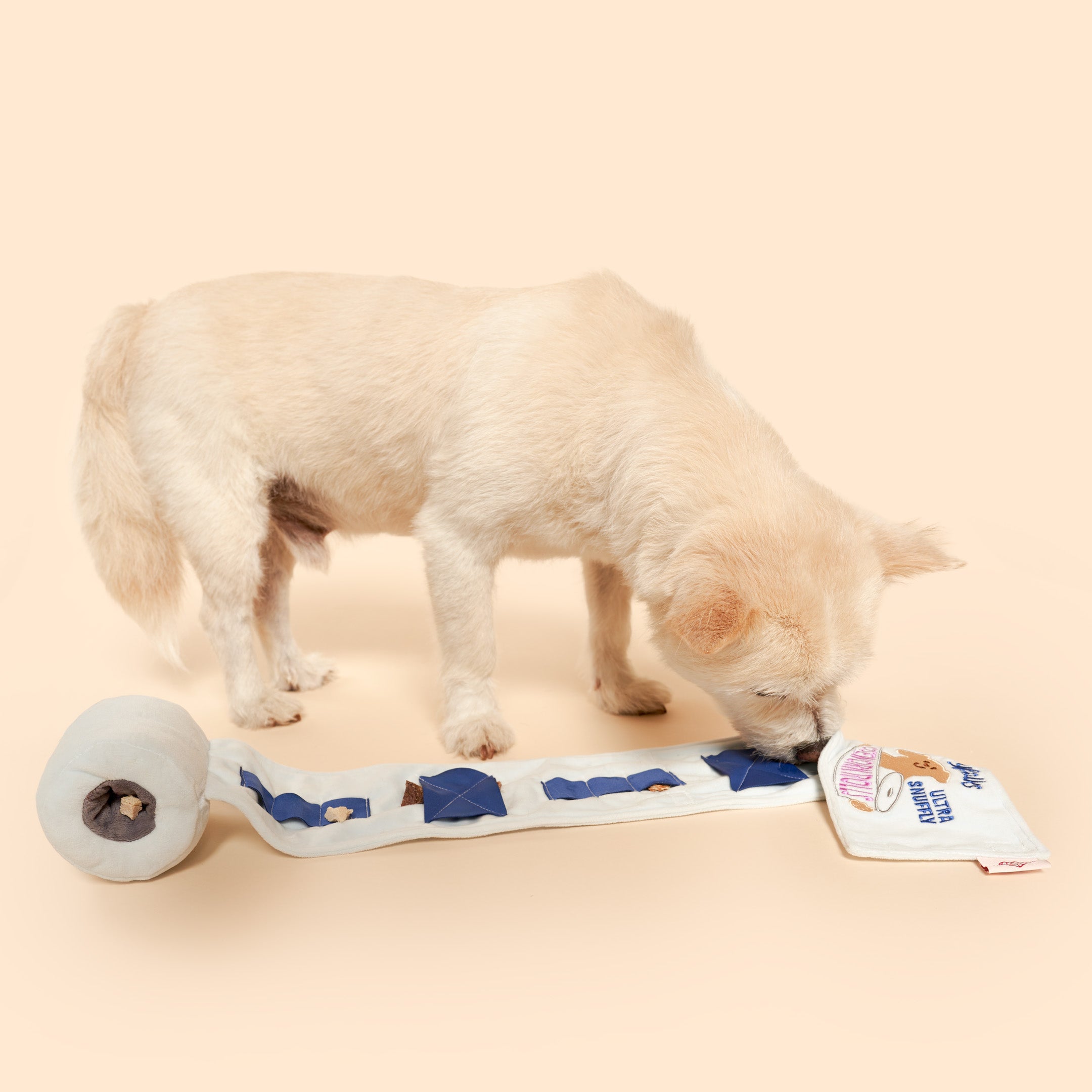 Dog playing with a Toilet Paper toy on a beige background