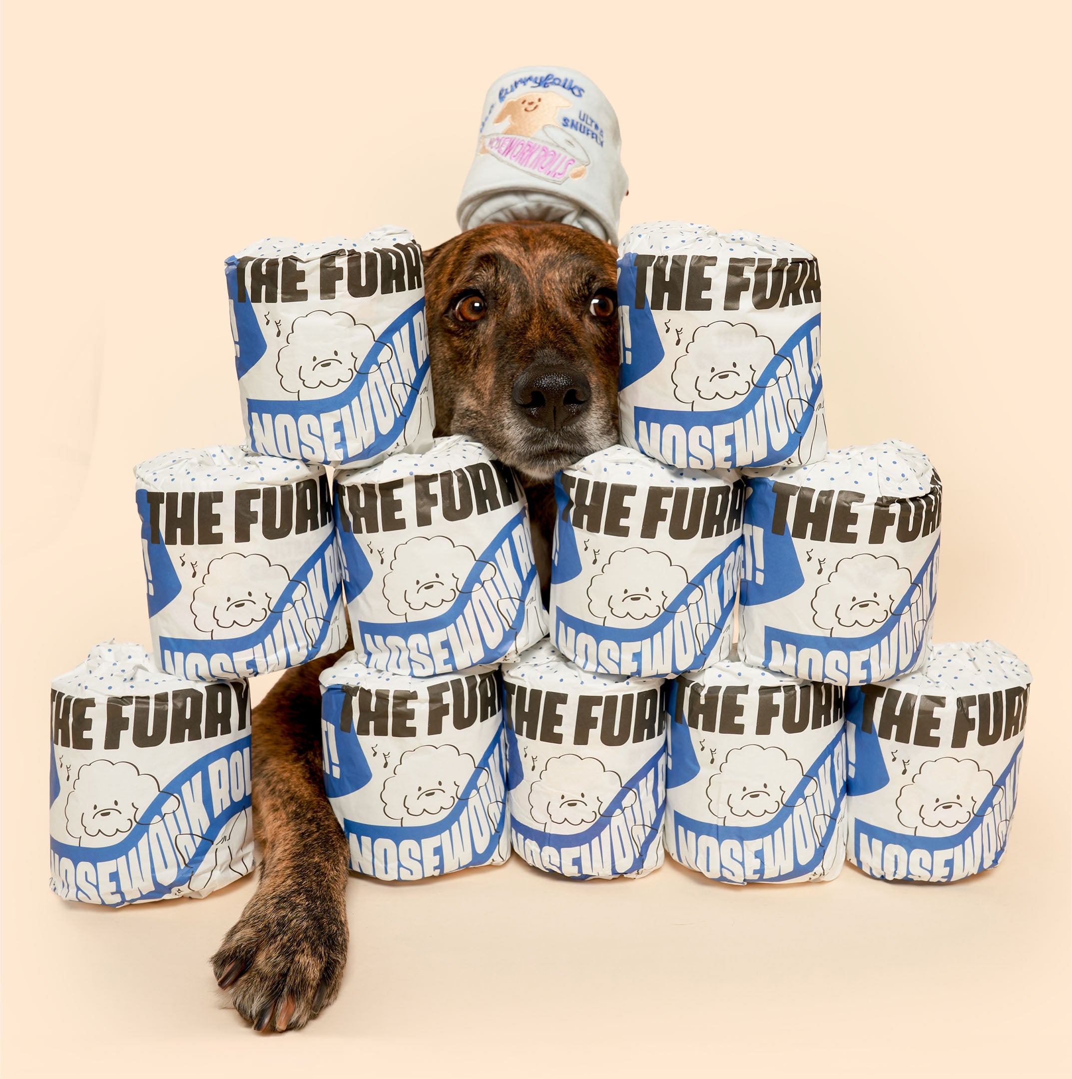 Dog surrounded by toilet Paper Toy product packaging on a beige background