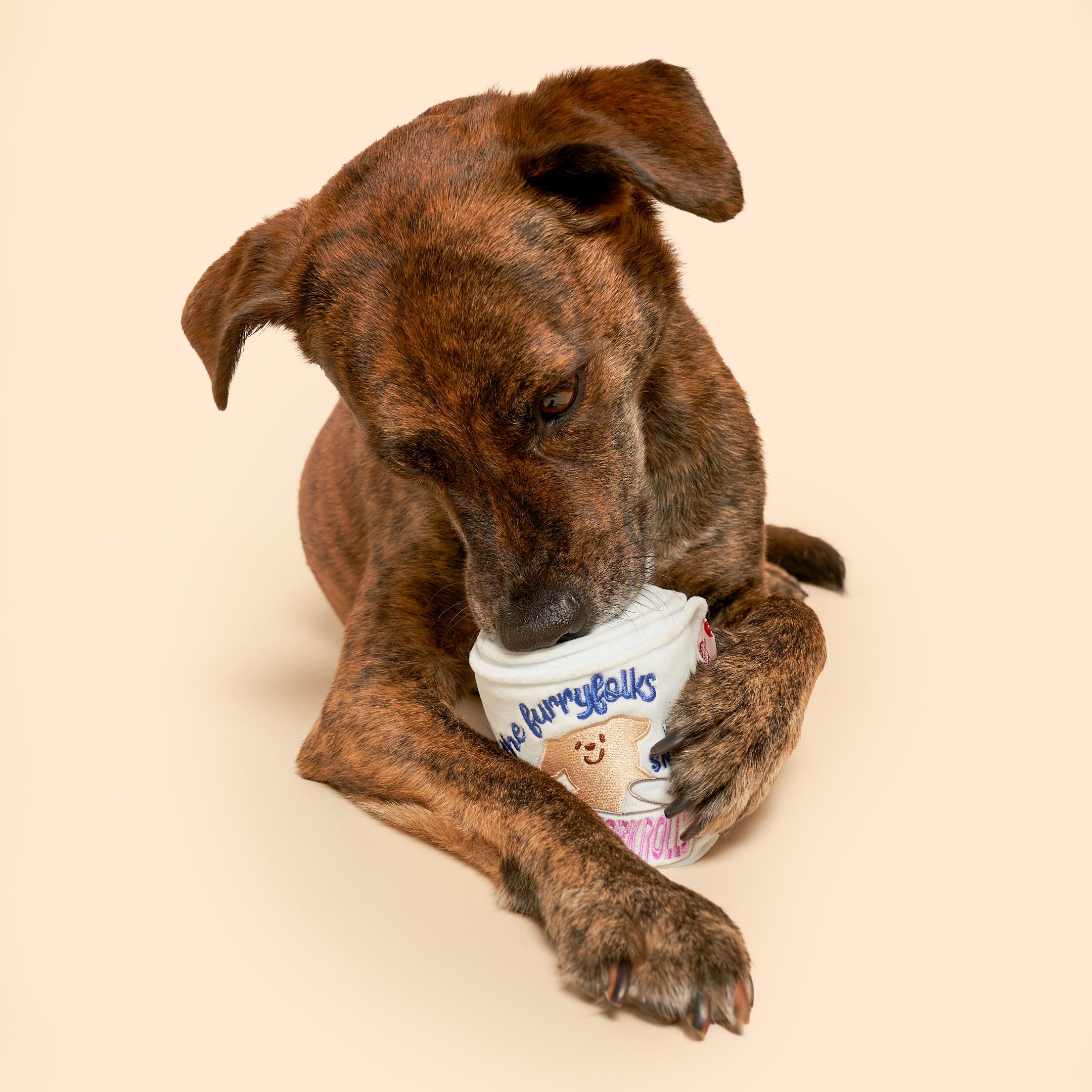 Toilet Paper Nosework Toy