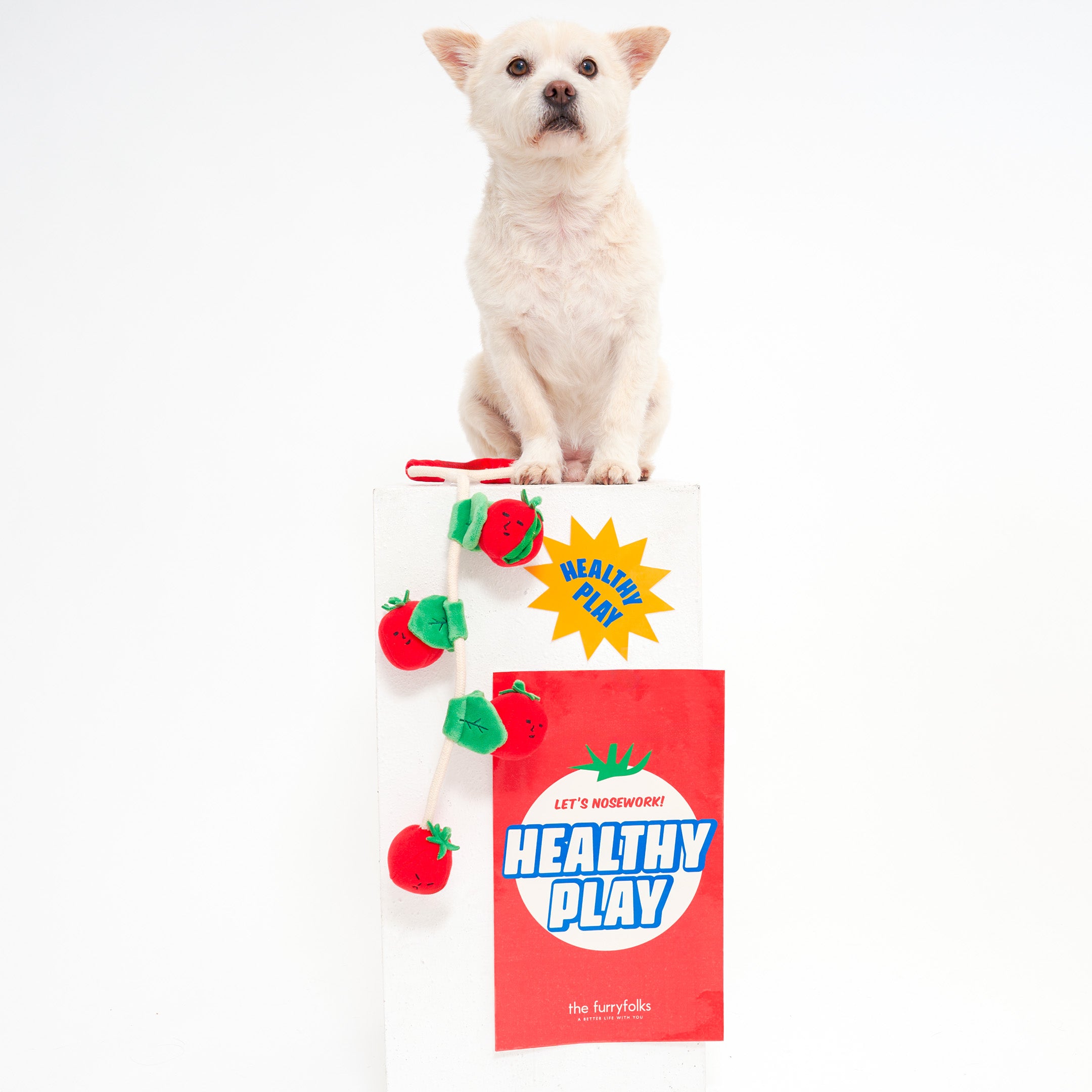 White dog with a chew toy and packaging labeled 'Healthy Play' on a white background