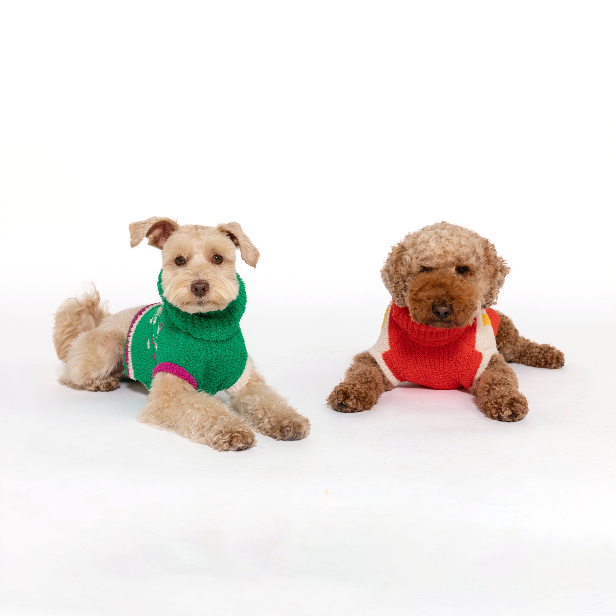 Two charming dogs are showcased, one in a vibrant green sweater with festive accents and the other in a cozy red and yellow sweater, reflecting the joyful spirit of The Furryfolks brand.