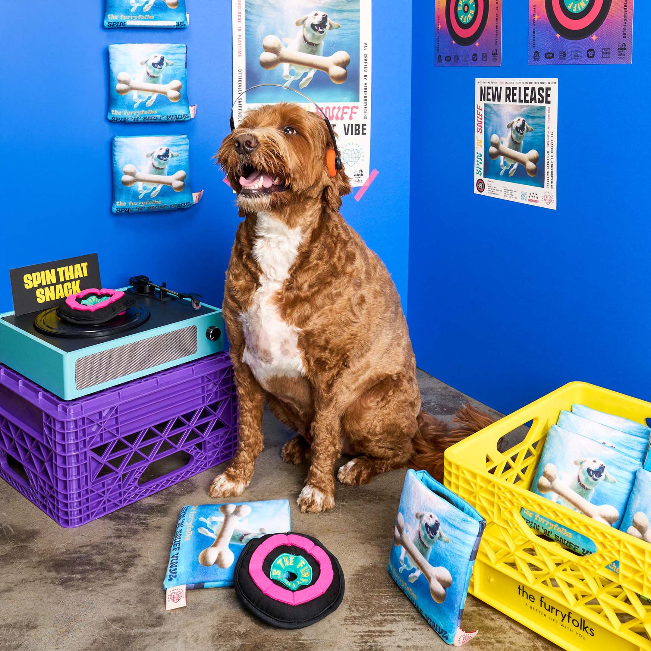 Brown dog wearing headphones sitting next to a retro turntable and crates filled with “Spin ‘N’ Sniff” vinyl-themed nosework toys by the furryfolks. Posters and product packages line the blue background wall.
