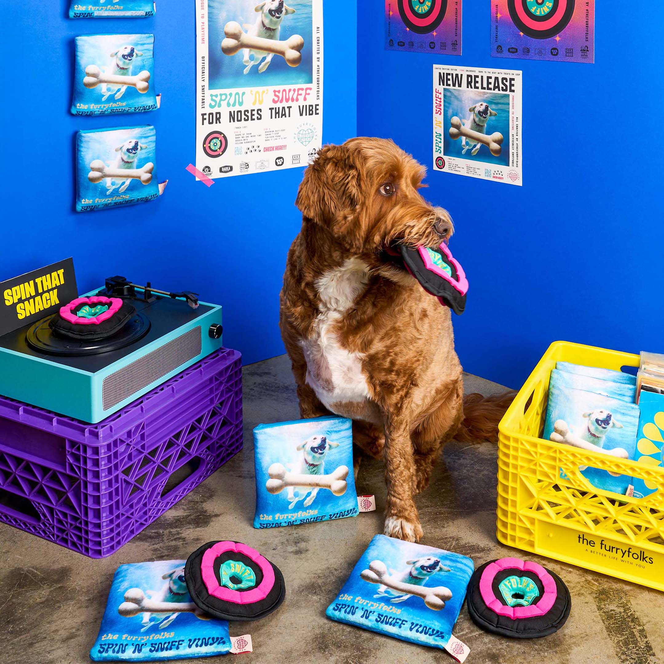 Brown dog holding a vinyl toy in its mouth while sitting beside a turntable setup and multiple “Spin ‘N’ Sniff” nosework toys by the furryfolks, styled like a playful music-themed record launch.