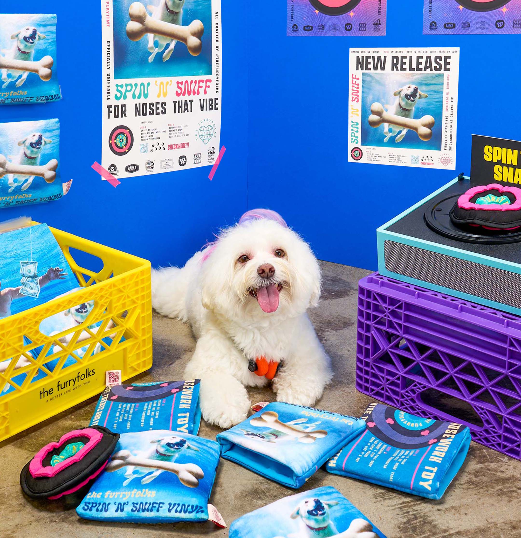 White fluffy dog with a playful smile sitting in front of vinyl-themed nosework toys and a crate full of packaging from the furryfolks, surrounded by colorful posters in a blue-walled room.
