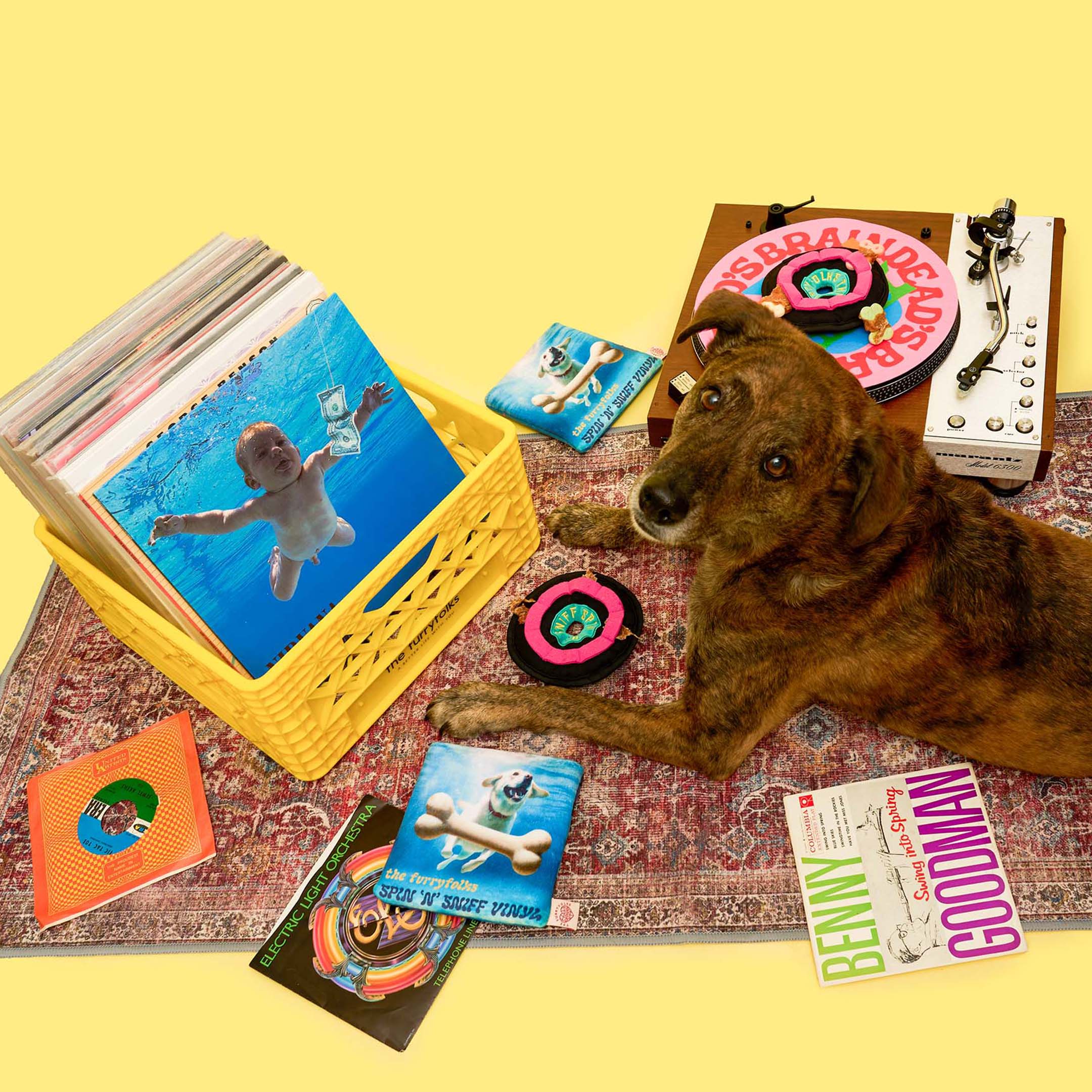A dog lounges beside a turntable surrounded by records and the furryfolks’ vinyl-inspired nosework toy, blending into a playful crate of real albums.
