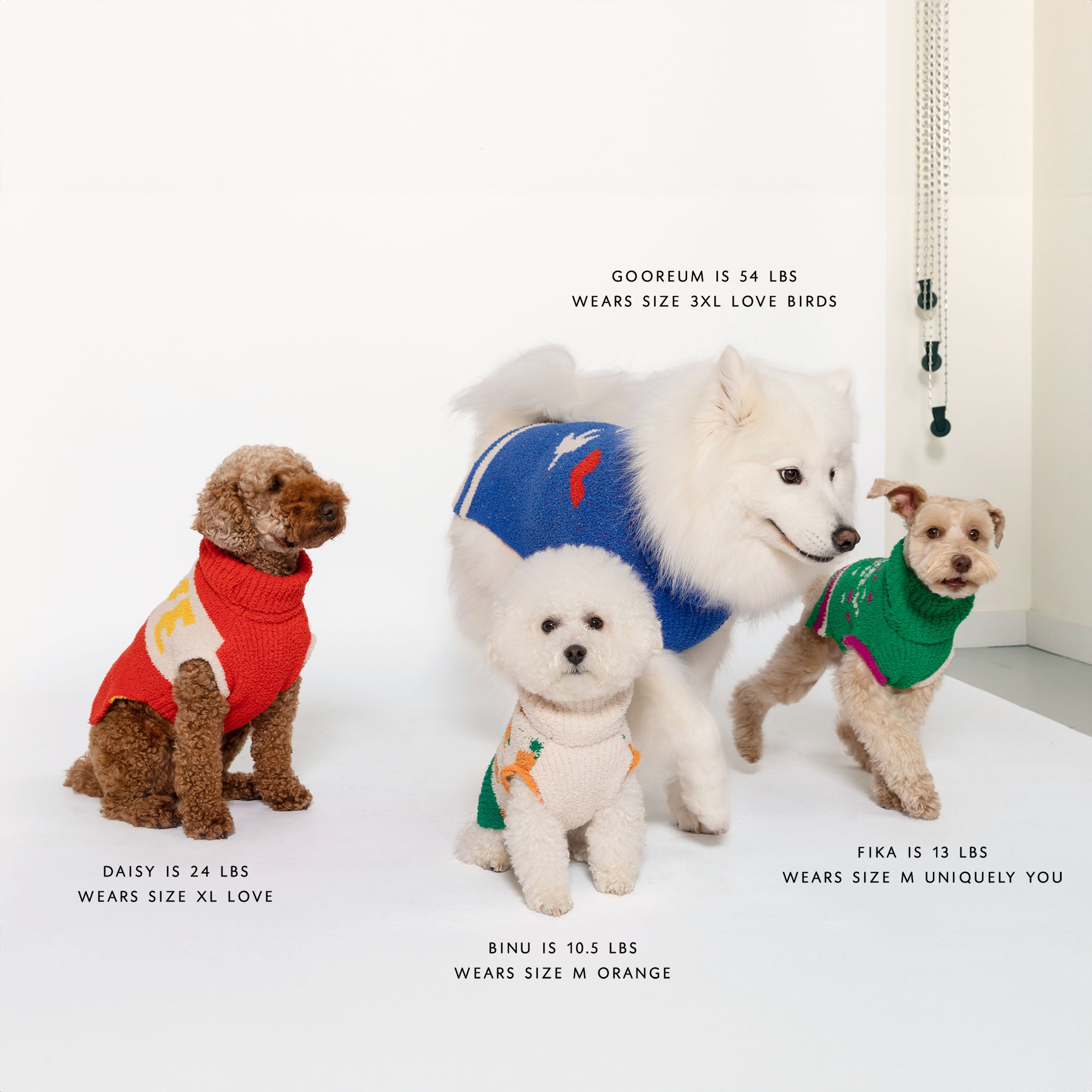 A group of four dogs of varying breeds and sizes, each wearing different sweaters from "The Furryfolks" collection. From left to right: Daisy, 24lbs,  a small dog wearing a red 'Love' sweater, size XL; Binu, 10.5, a white fluffy dog in an orange sweater with carrot motifs, size M; GOOREUM, 54lbs, a large white dog in a blue 'Love Birds' sweater with heart and bird motifs, size 3XL; Fika, 13lbs, a small dog in a green 'Uniquely You' sweater, size M.