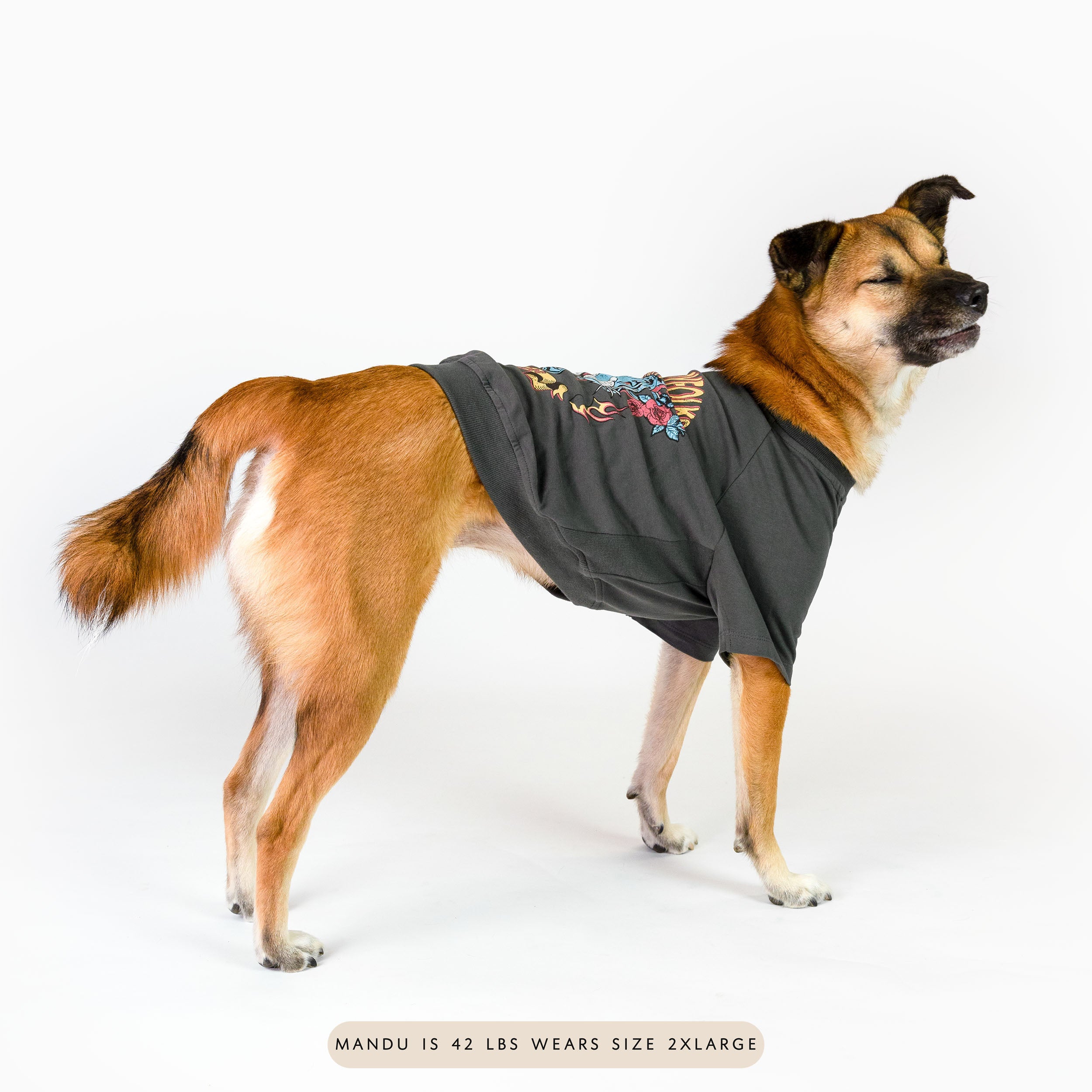 A medium-sized dog named Mandu, weighing 42 lbs, wearing a size 2XL oversized tiger-themed tee from the furryfolks. The tee features a stylish and comfortable fit, with vibrant tiger and floral graphics on the side