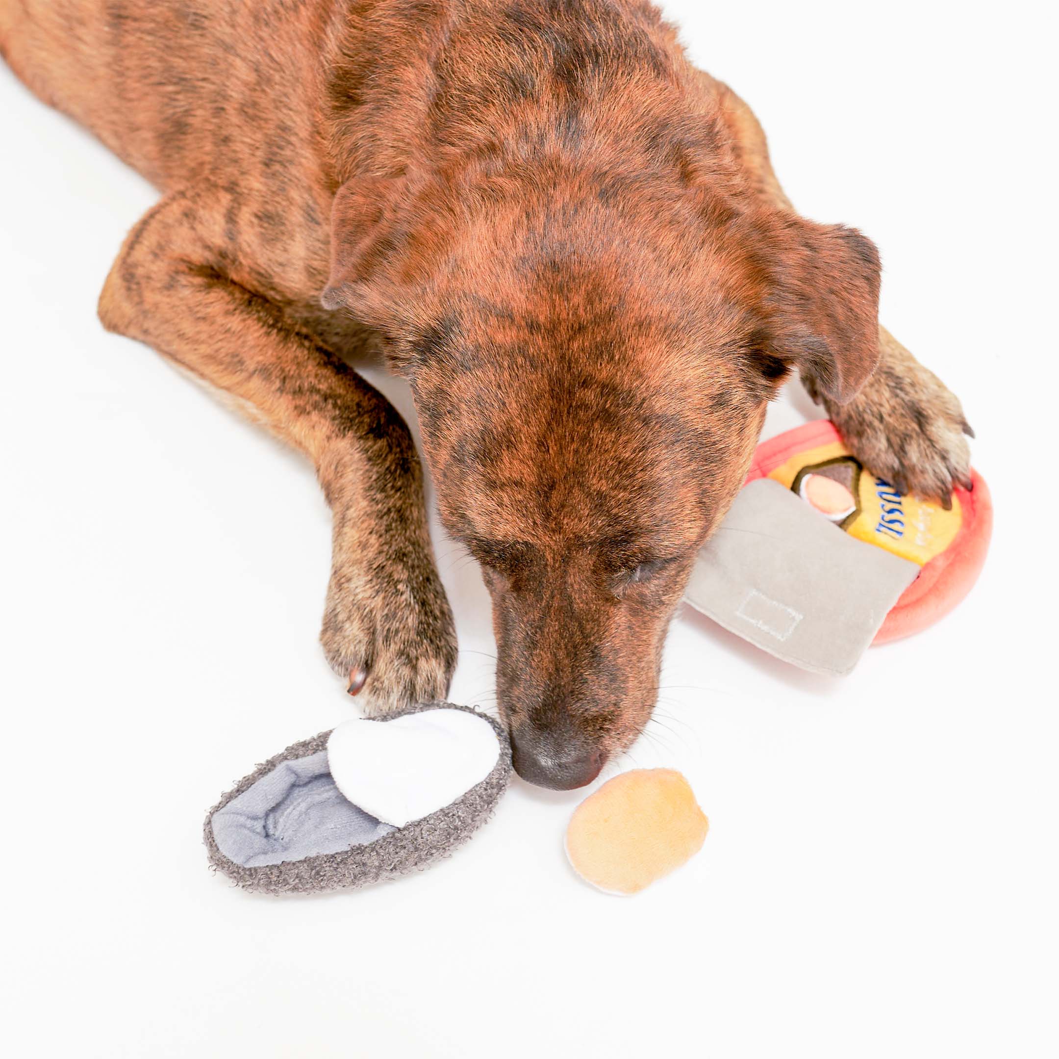 A brindle-colored dog is lying down, interacting with a “Mussel” nosework toy set. The dog has its head down, sniffing a grey plush mussel shell toy with white and orange plush pieces. Nearby, the red plush container shaped like a tin can with a yellow label is visible. The dog appears to be engaged with the toys, exploring them.