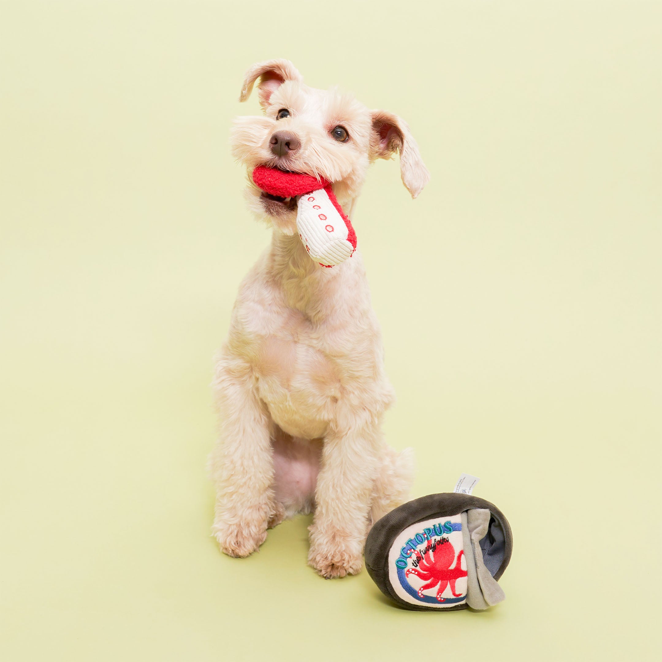 A small, light-colored dog is sitting against a light green background, holding a plush octopus tentacle toy in its mouth. The tentacle toy is white with red spots. In front of the dog on the ground is a plush toy shaped like a can of octopus, which is dark brown with a cream-colored label featuring a red octopus illustration and the word “OCTOPUS” in blue letters. The dog appears happy and engaged with the toy.