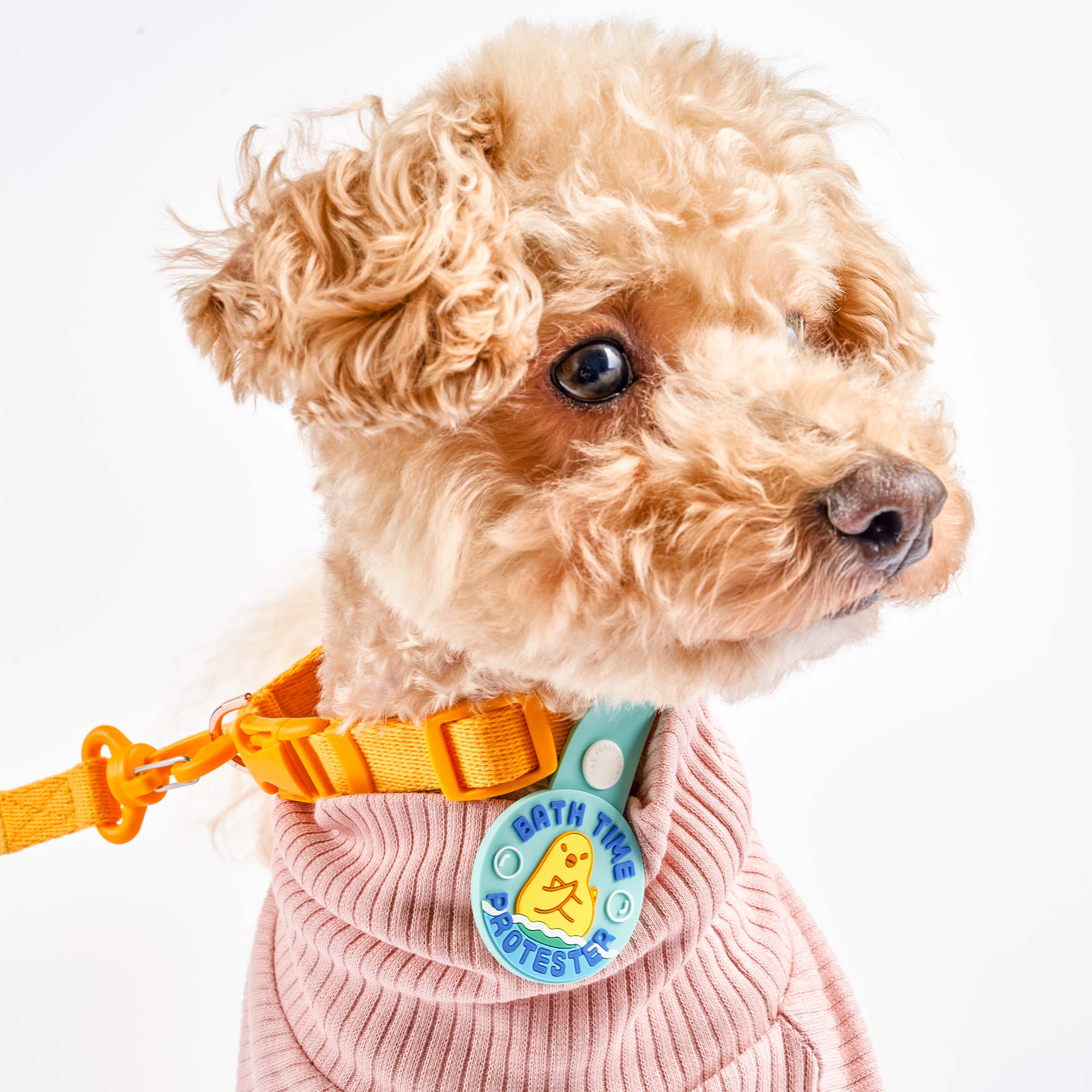 A curly-haired light brown dog wearing a pink sweater and an orange collar with a blue dog tag that reads ‘Bath Time Protester.’ The tag features an illustration of a dog crossing its paws in protest, made of non-toxic rubber. The dog is looking to the side, showcasing the tag attached to its collar.