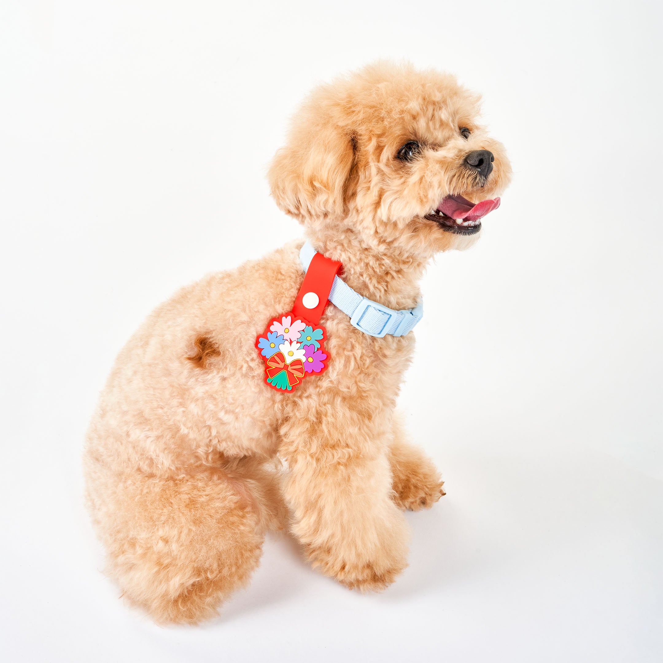 Fluffy brown dog wearing a light blue collar and a vibrant red dog tag with a colorful flower bouquet design, highlighting a stylish and playful pet accessory.