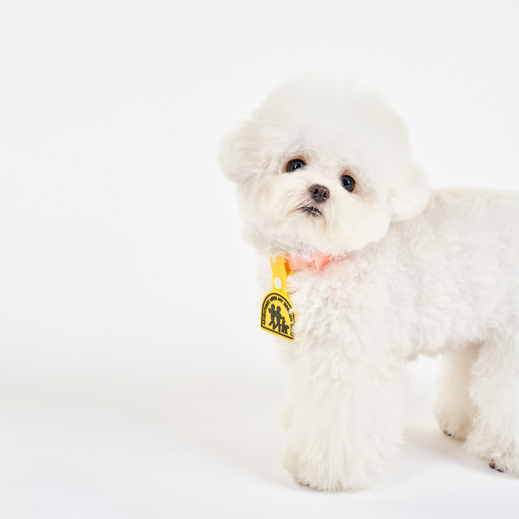 A fluffy white dog standing and wearing a pink collar with a yellow dog tag that reads ‘Adventures with My Hooman Crew.’ The tag features an illustration of a human family running with their dog, made of non-toxic rubber. The dog is looking at the camera, showcasing the tag attached to its collar.