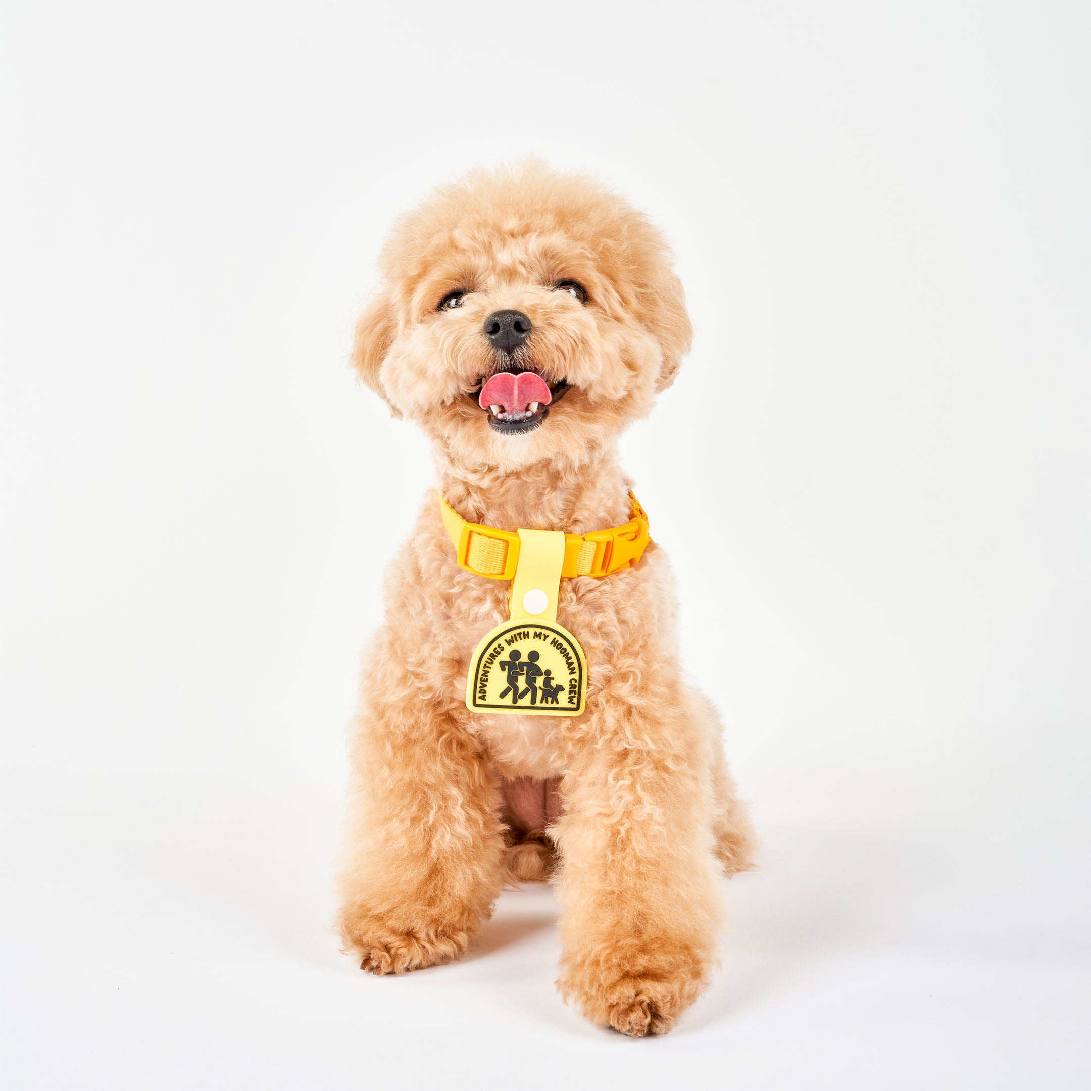 A curly-haired light brown dog sitting and wearing a yellow collar with a yellow dog tag that reads ‘Adventures with My Hooman Crew.’ The tag features an illustration of a human family running with their dog, made of non-toxic rubber. The dog is smiling with its tongue out, looking directly at the camera, showcasing the tag attached to its collar.