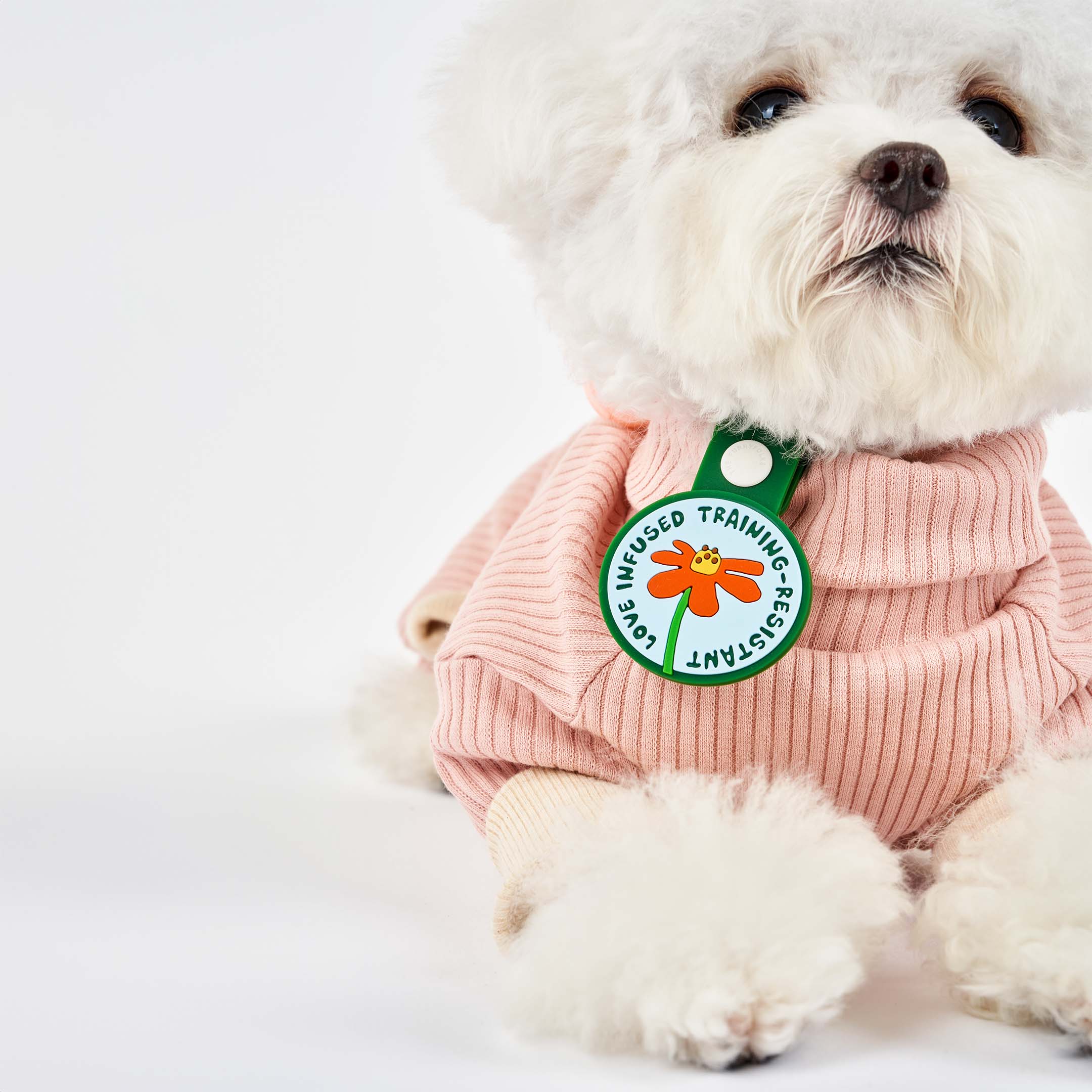 White fluffy dog wearing a pink sweater, featuring a whimsical dog tag with a red flower at the center. The tag displays the phrase ‘Love Infused Training-Resistant’ and is attached to a green strap with a white button. This charming tag from The Furryfolks’ Daily Clip product line is made from 100% non-toxic rubber, perfect for adding a playful touch to your pet’s accessories.