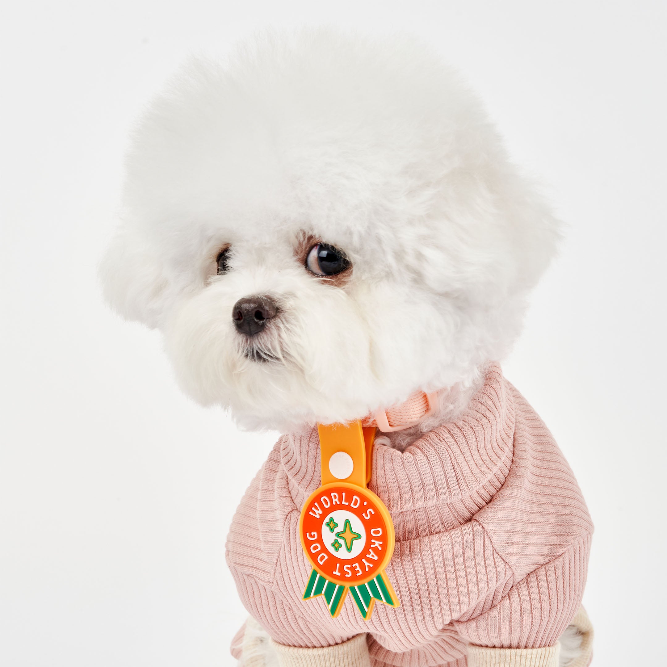 White fluffy dog wearing a pink sweater and an orange collar, featuring a whimsical dog tag with the phrase ‘World’s Okayest Dog’ in bold white text on a red background. The tag has green ribbons at the bottom and is attached to an orange strap with a white button. This playful tag from The Furryfolks’ Daily Clip product line is made from 100% non-toxic rubber.