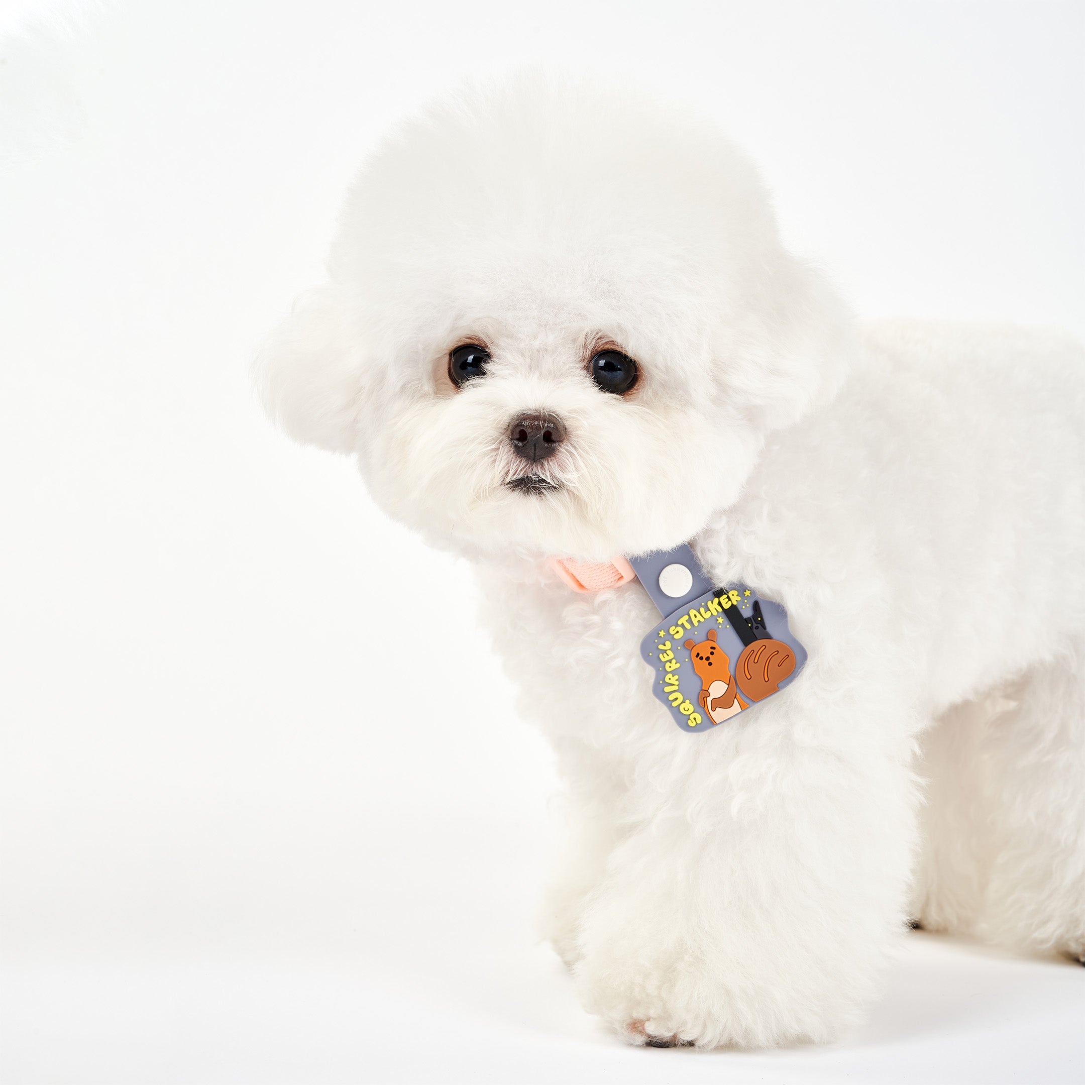 Adorable white fluffy dog wearing a pink collar, featuring a whimsical dog tag with a squirrel and a dog under a starry sky. The tag displays the phrase ‘Squirrel Stalker’ in playful yellow text and is attached to a light blue strap with a white button. This charming tag from The Furryfolks’ Daily Clip product line is made from 100% non-toxic rubber, perfect for adding a playful touch to your pet’s accessories.