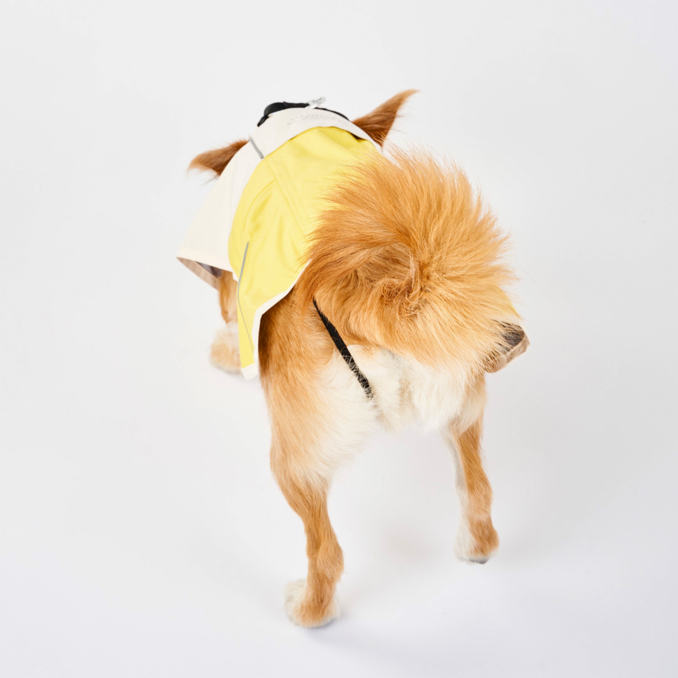 Rear view of a medium-sized dog wearing a yellow and cream raincoat, showing the raincoat’s coverage and reflective details. The dog’s fluffy tail is visible, and the raincoat fits securely around its body.