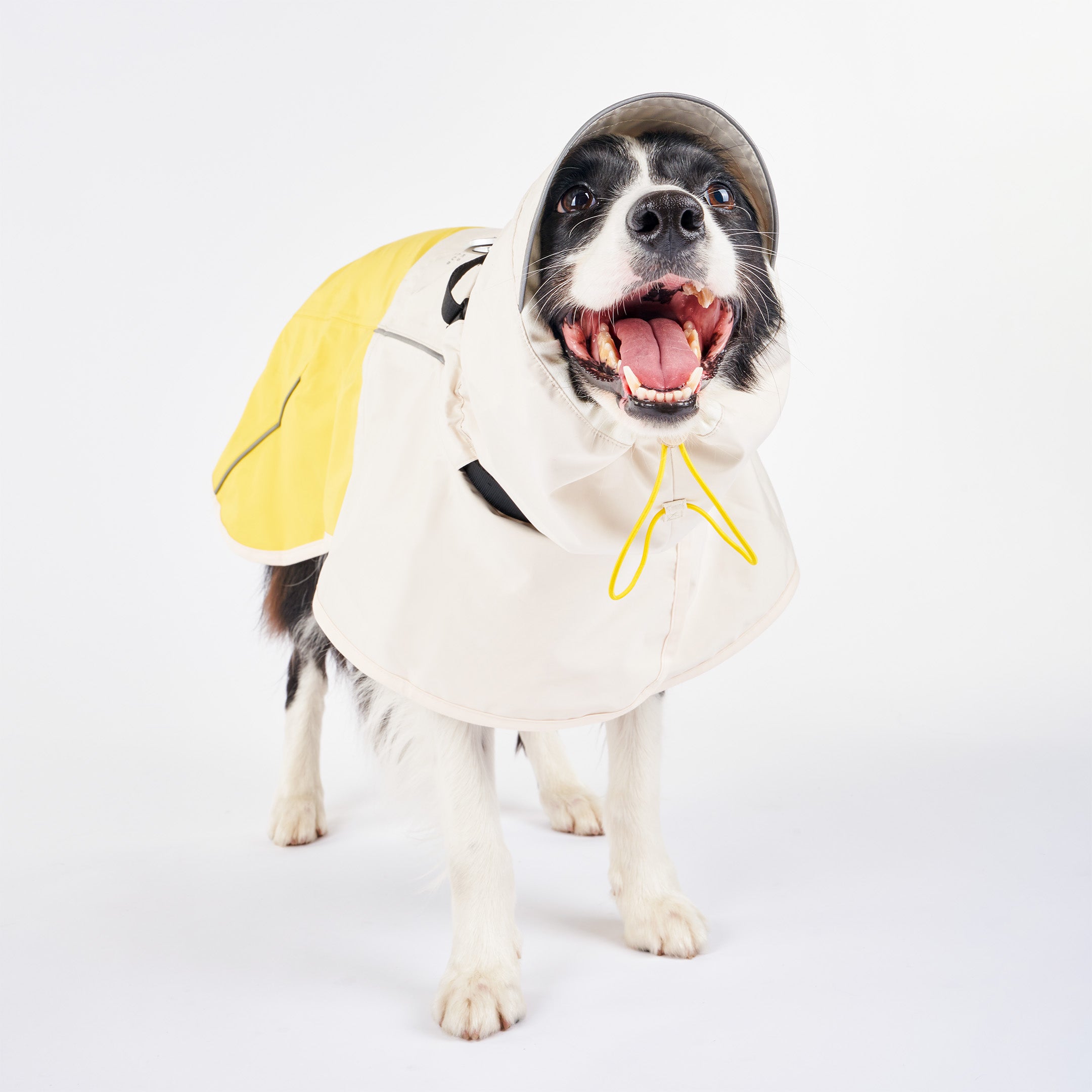 Large dog wearing a yellow and cream raincoat with an adjustable hood. The dog is smiling with its mouth open, showing how the raincoat offers full coverage and a comfortable fit. Reflective accents ensure visibility during walks.