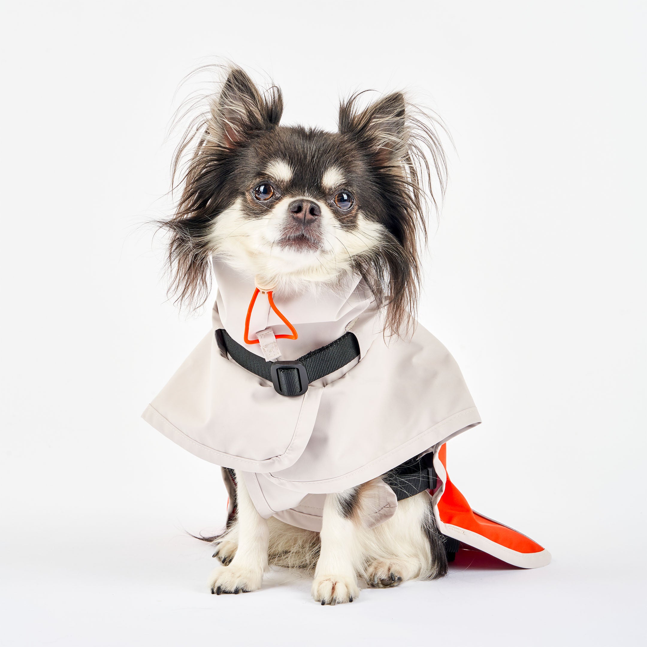 Small dog sitting while wearing a gray and orange raincoat with an adjustable hood and reflective accents. The raincoat features a black buckle for secure fastening and a stylish design for both protection and comfort.