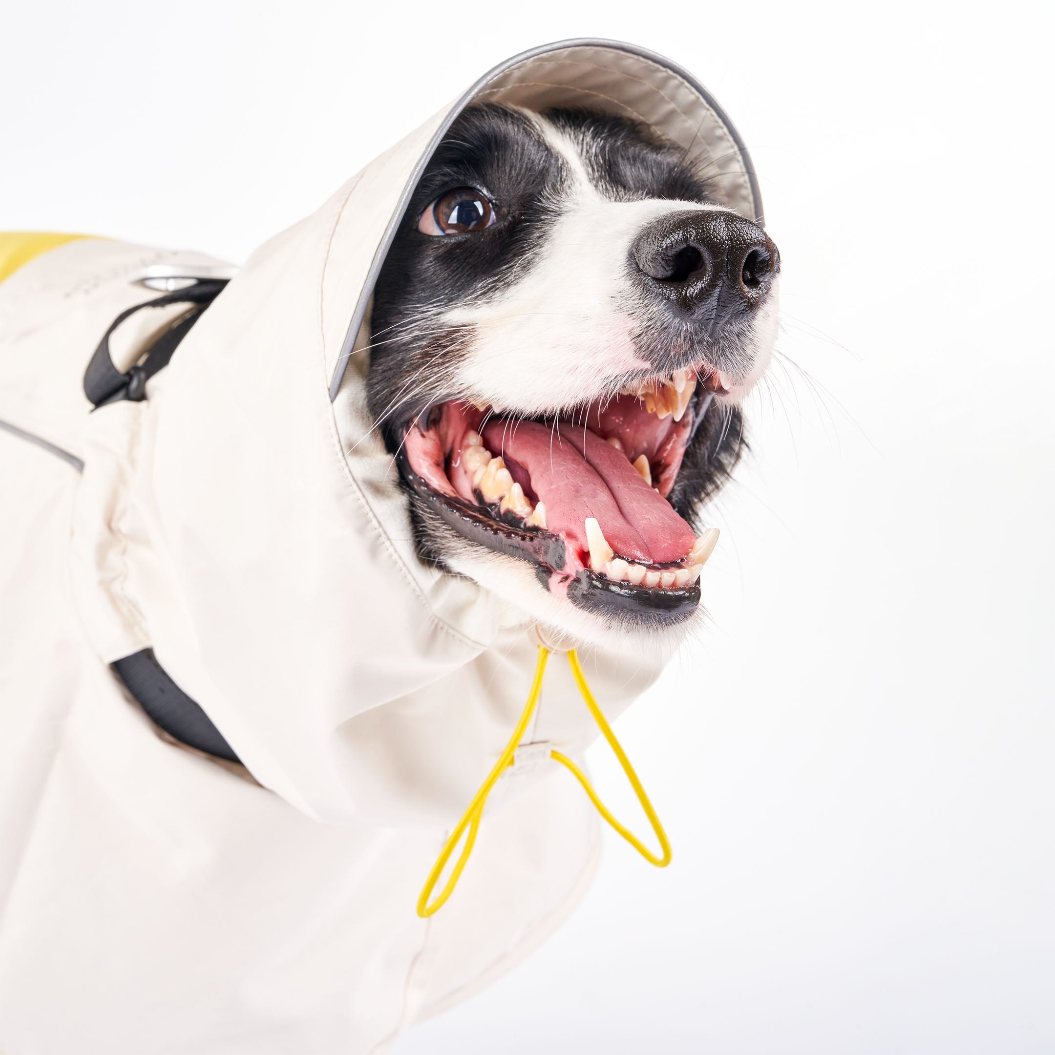 Close-up of a large dog wearing a cream/yellow raincoat with a hood, happily panting with its tongue out. The raincoat’s hood is fitted with yellow drawstrings for an adjustable fit, providing full coverage for the dog’s head.